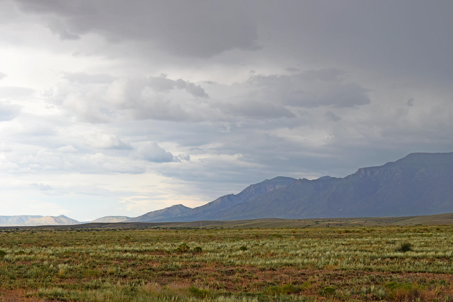 Lot 42 Rio Grande Estates S
