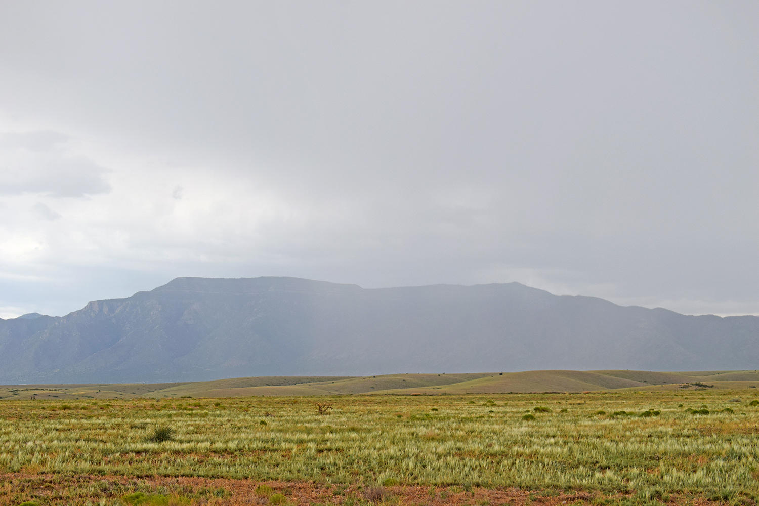 Lot 42 Rio Grande Estates S
