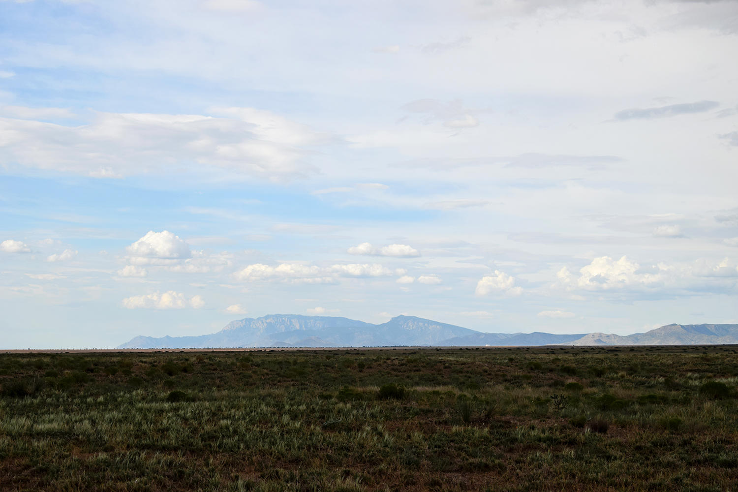 Lot 42 Rio Grande Estates S