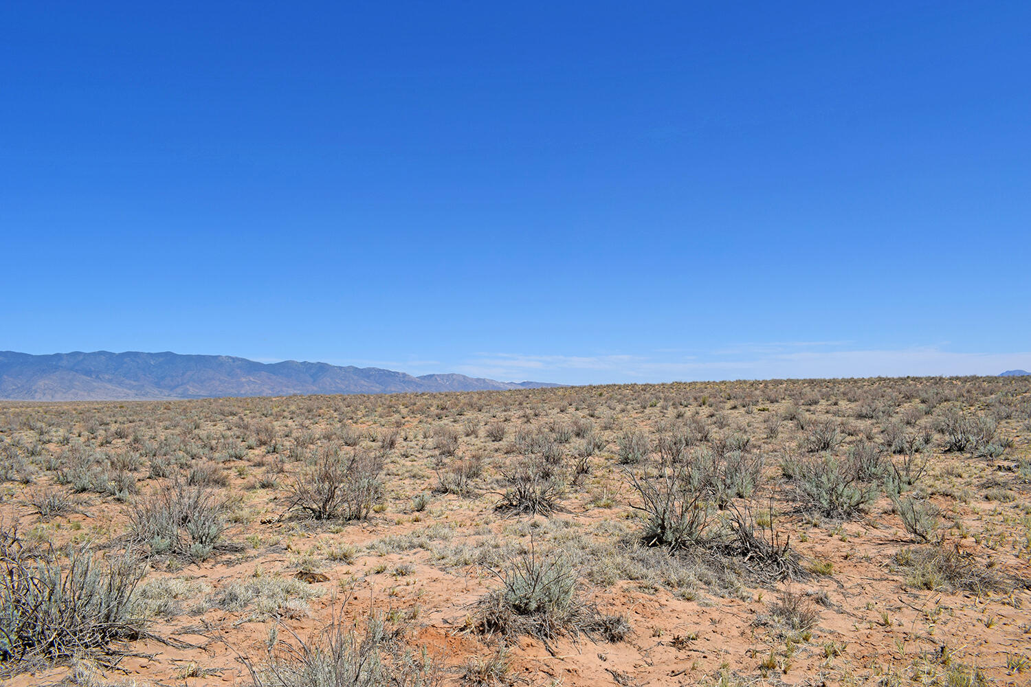 Lot 23 Rio Grande Estates B