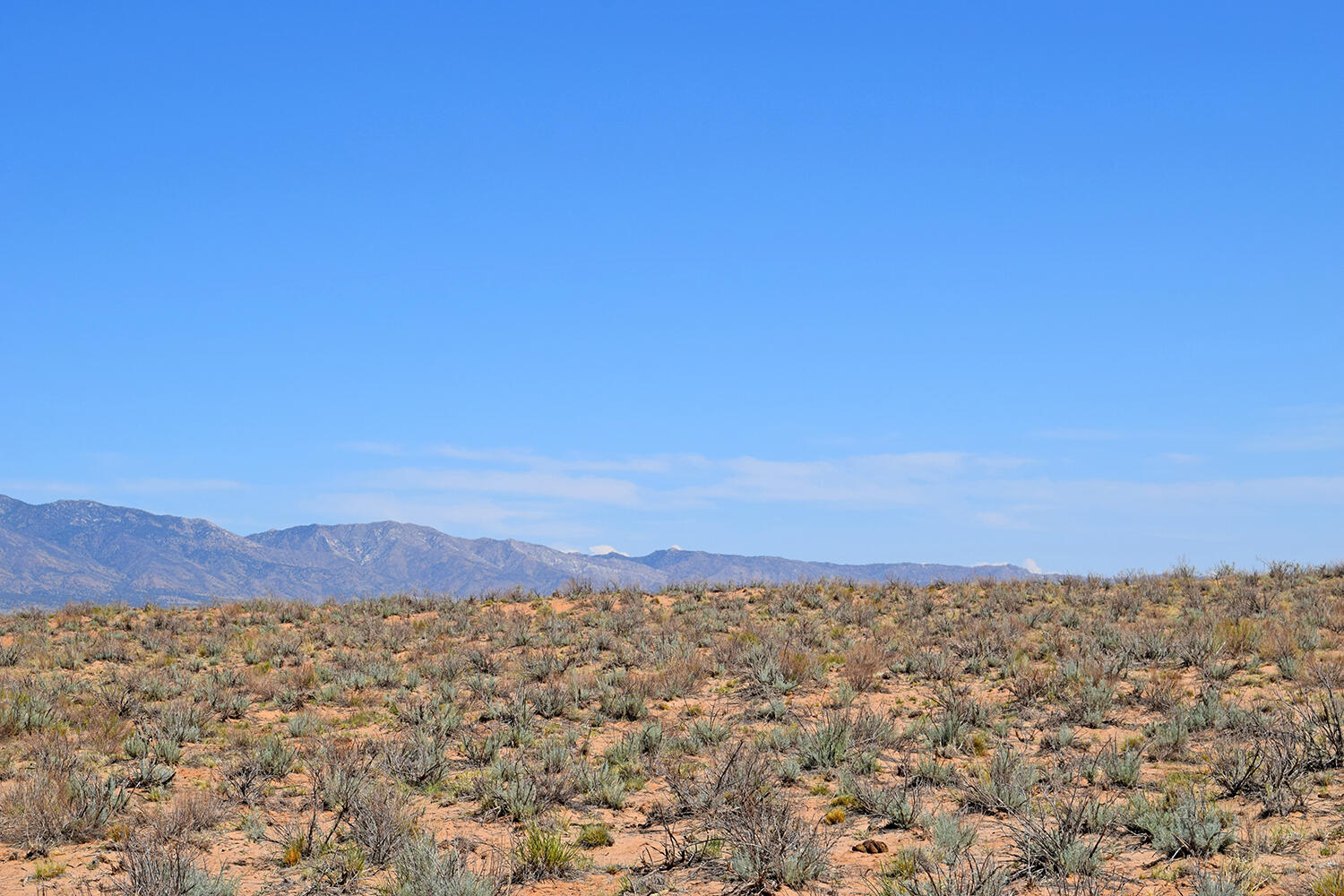 Lot 23 Rio Grande Estates B