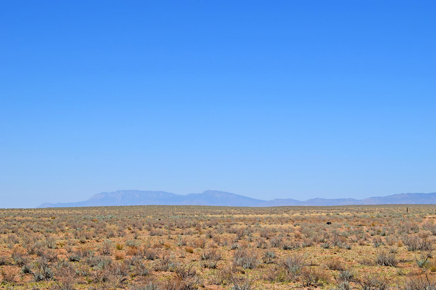 Lot 23 Rio Grande Estates B
