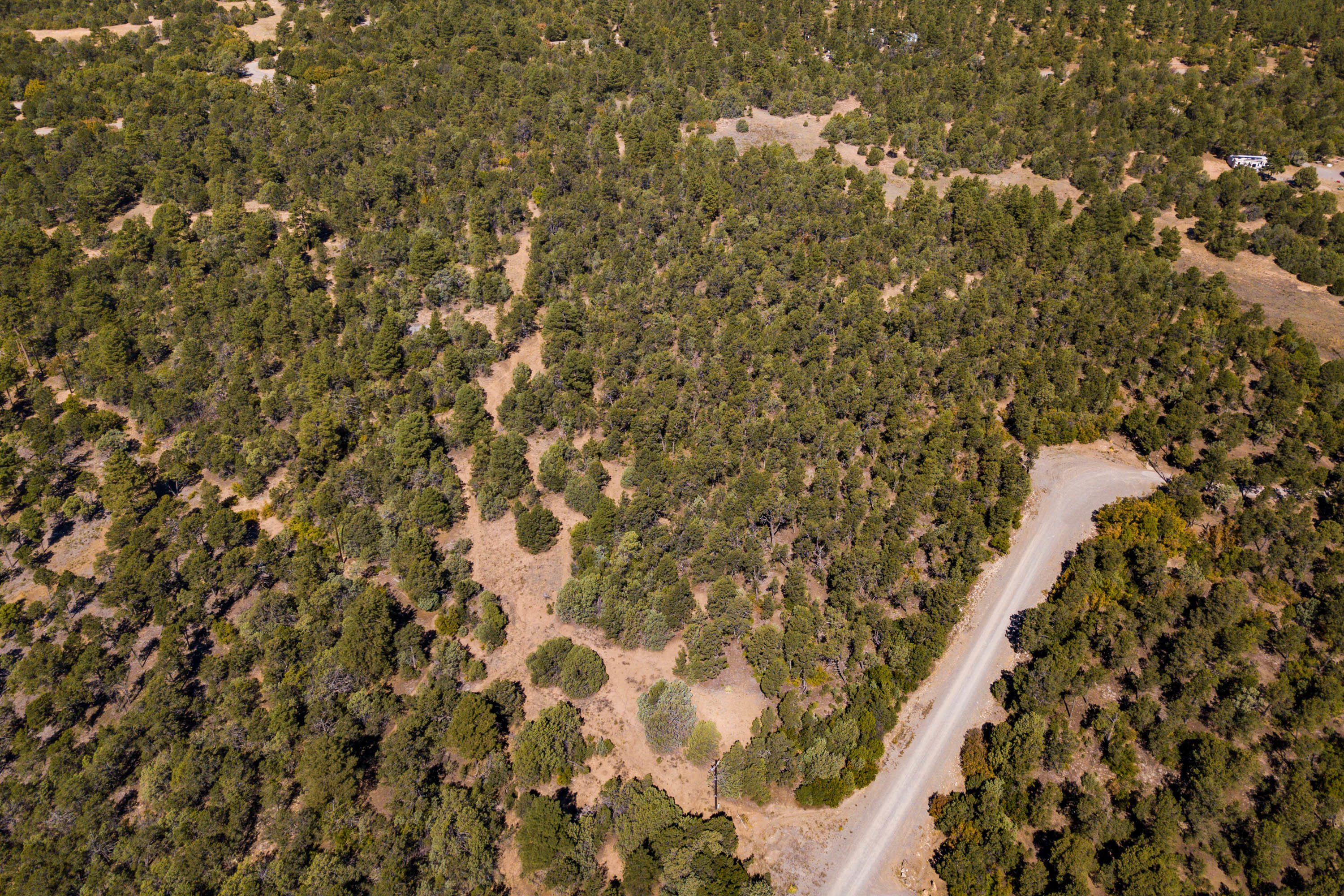 26 GRANNY CANYON Trail