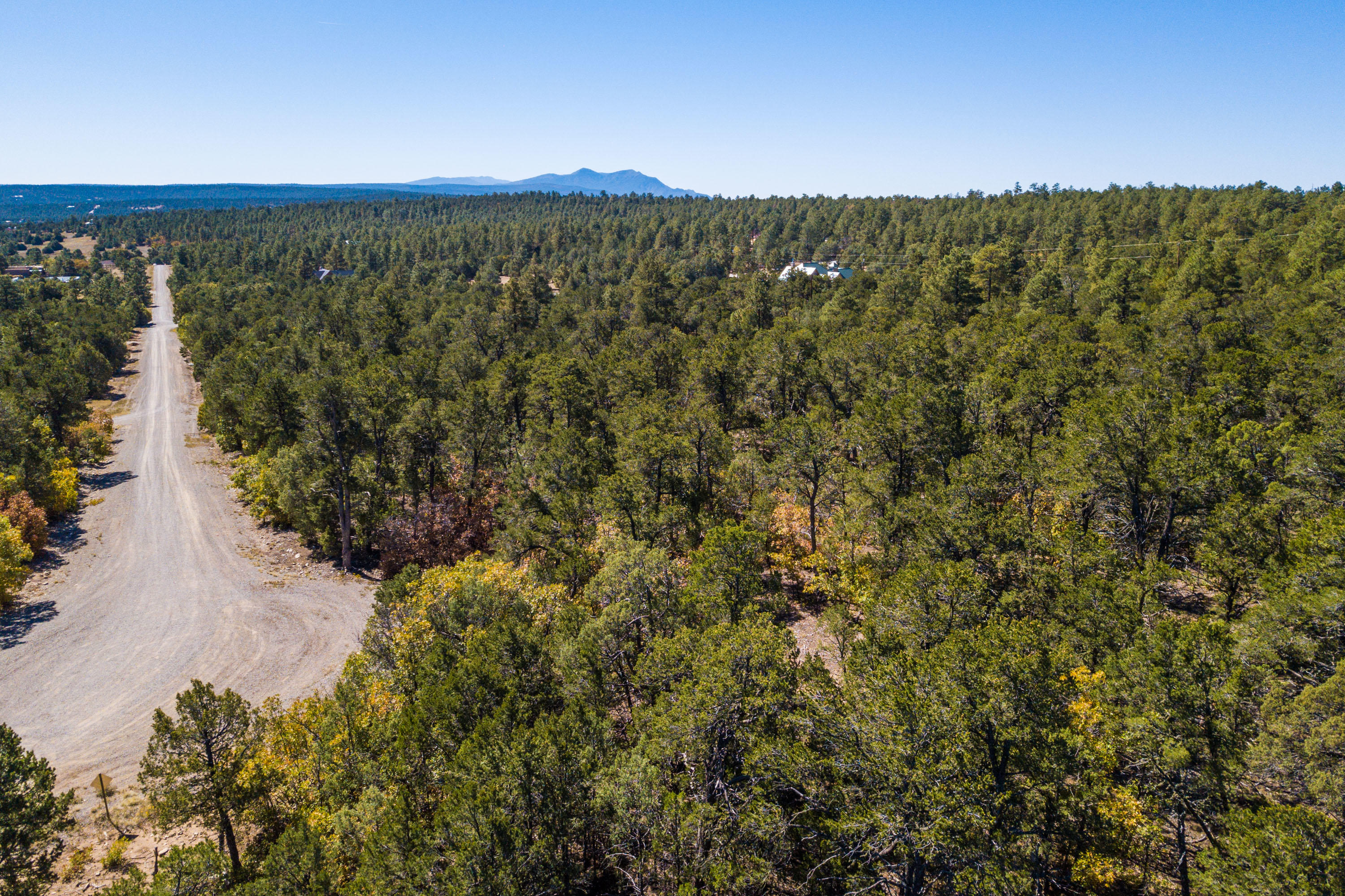 26 GRANNY CANYON Trail