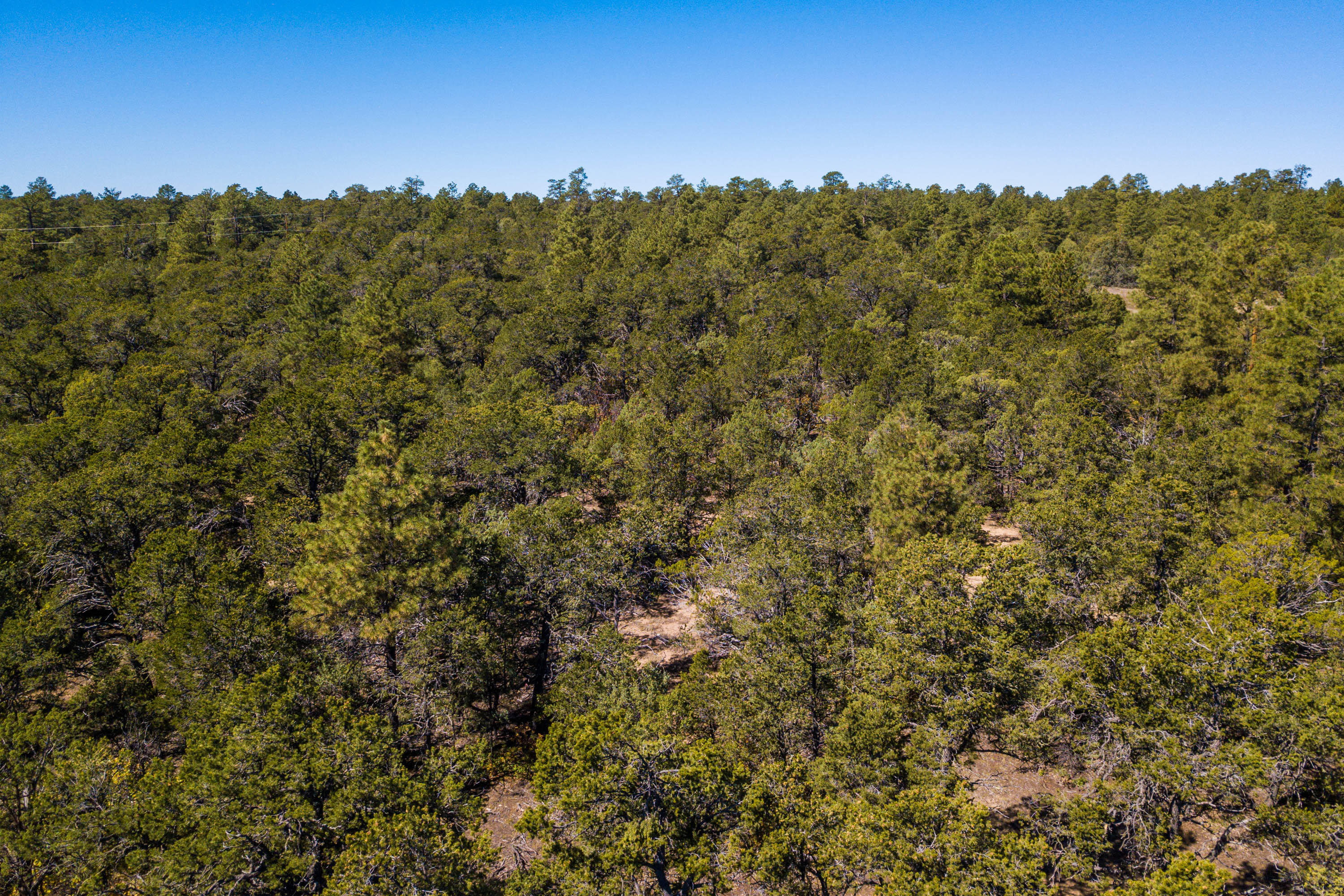 26 GRANNY CANYON Trail