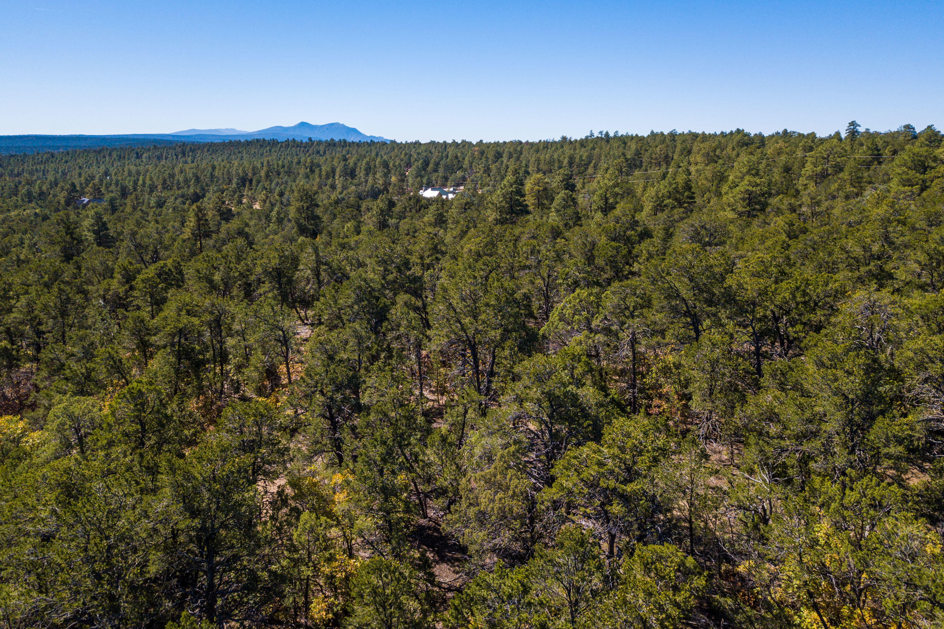 26 GRANNY CANYON Trail