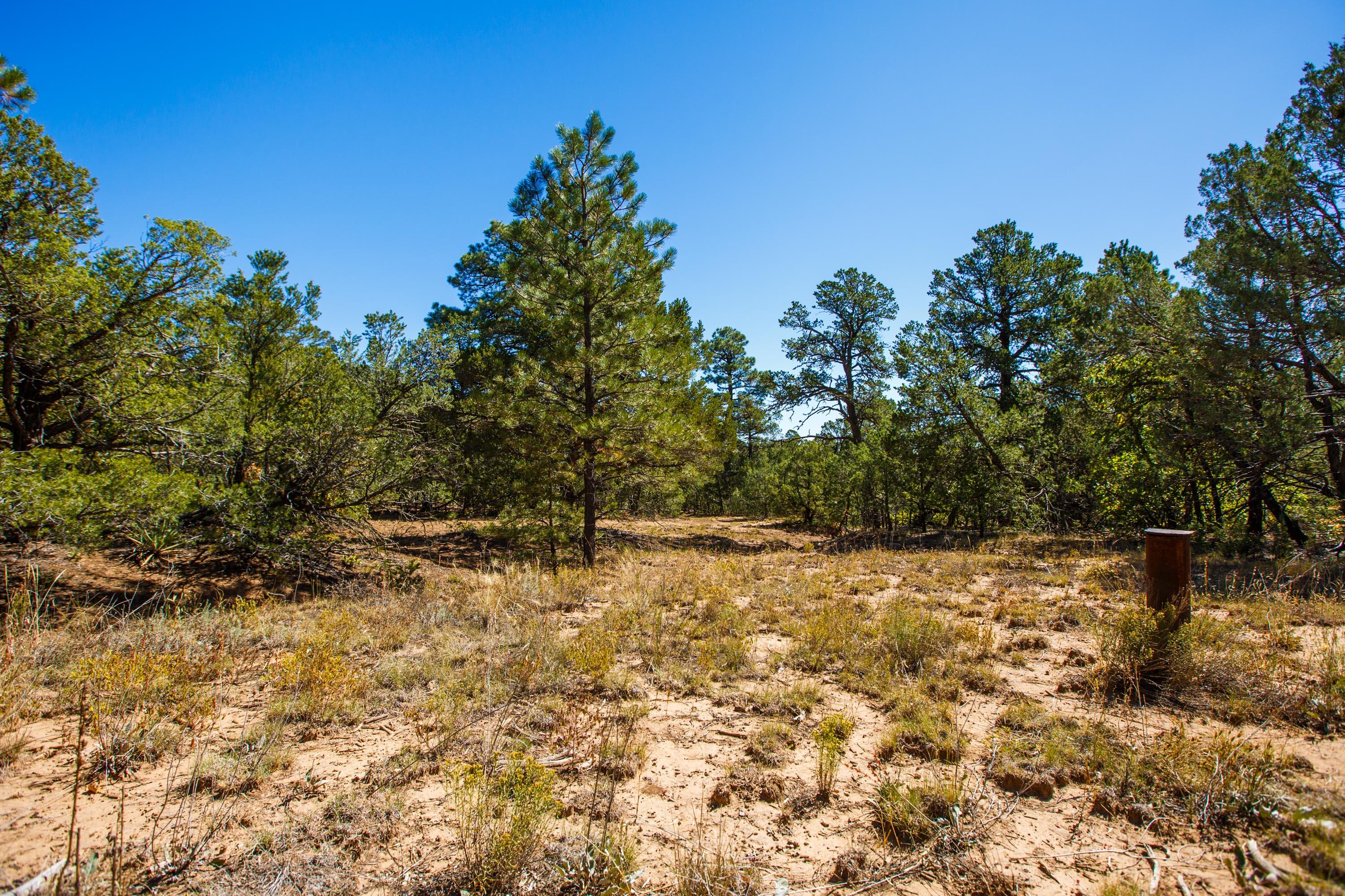 32 GRANNY CANYON Trail
