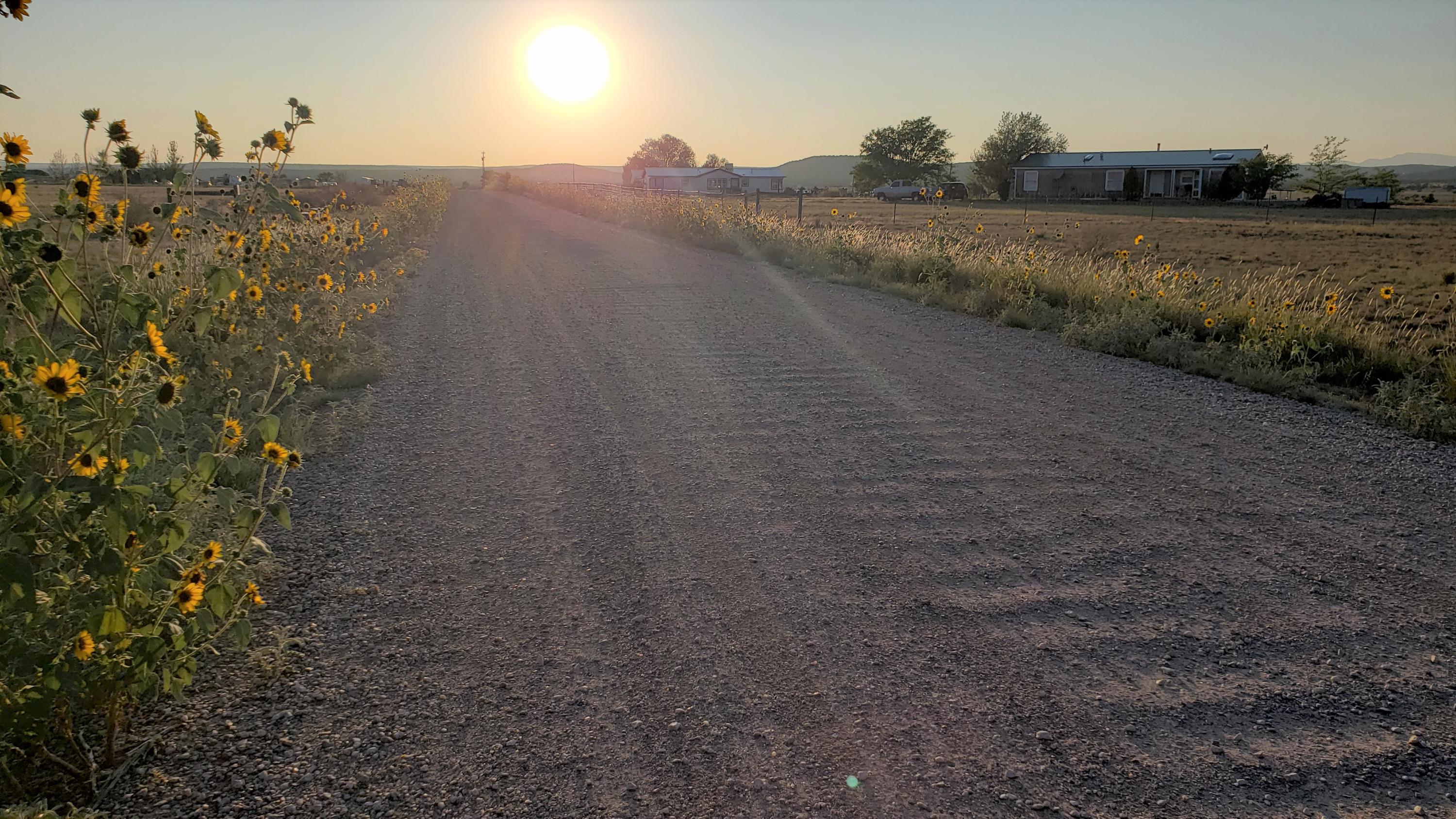 Coyote Loop