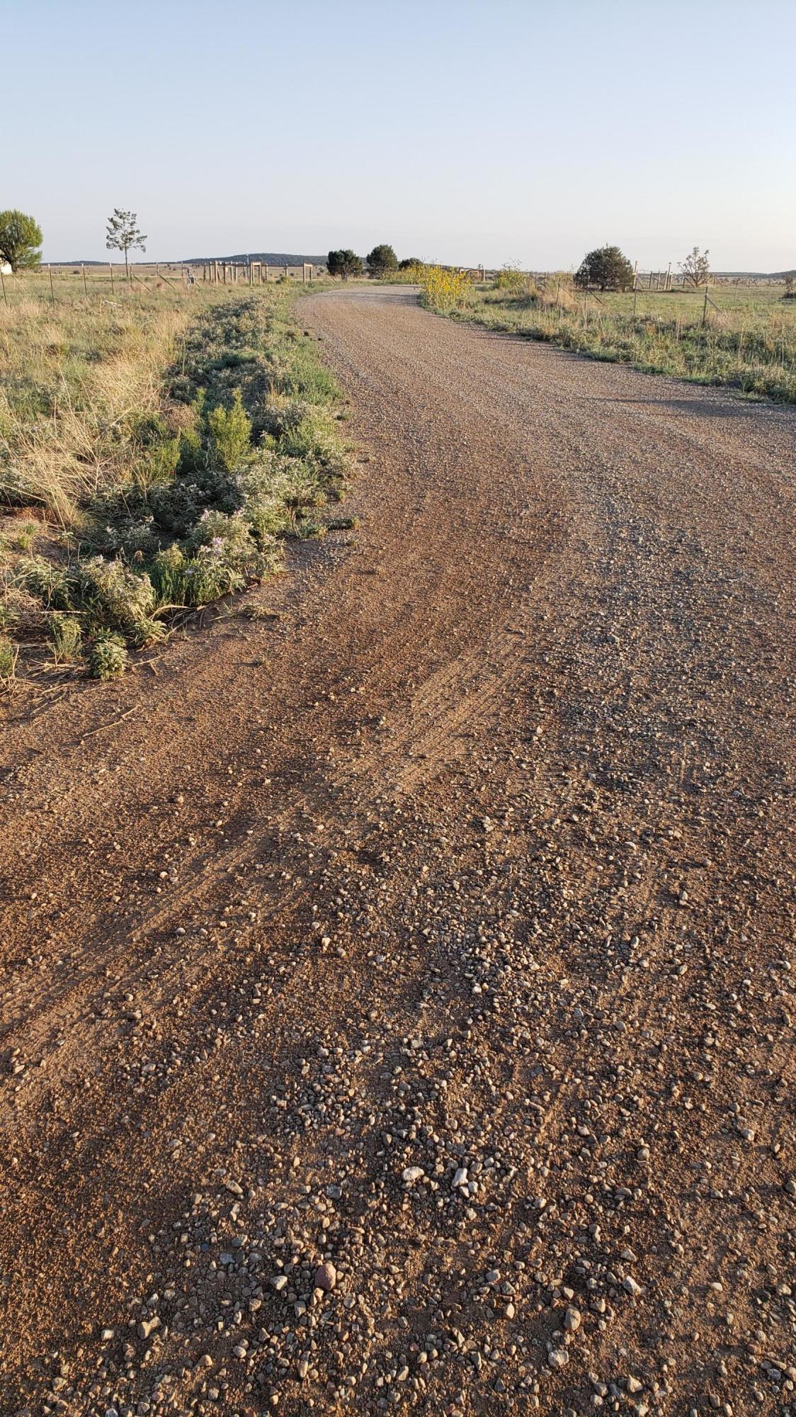 Coyote Loop