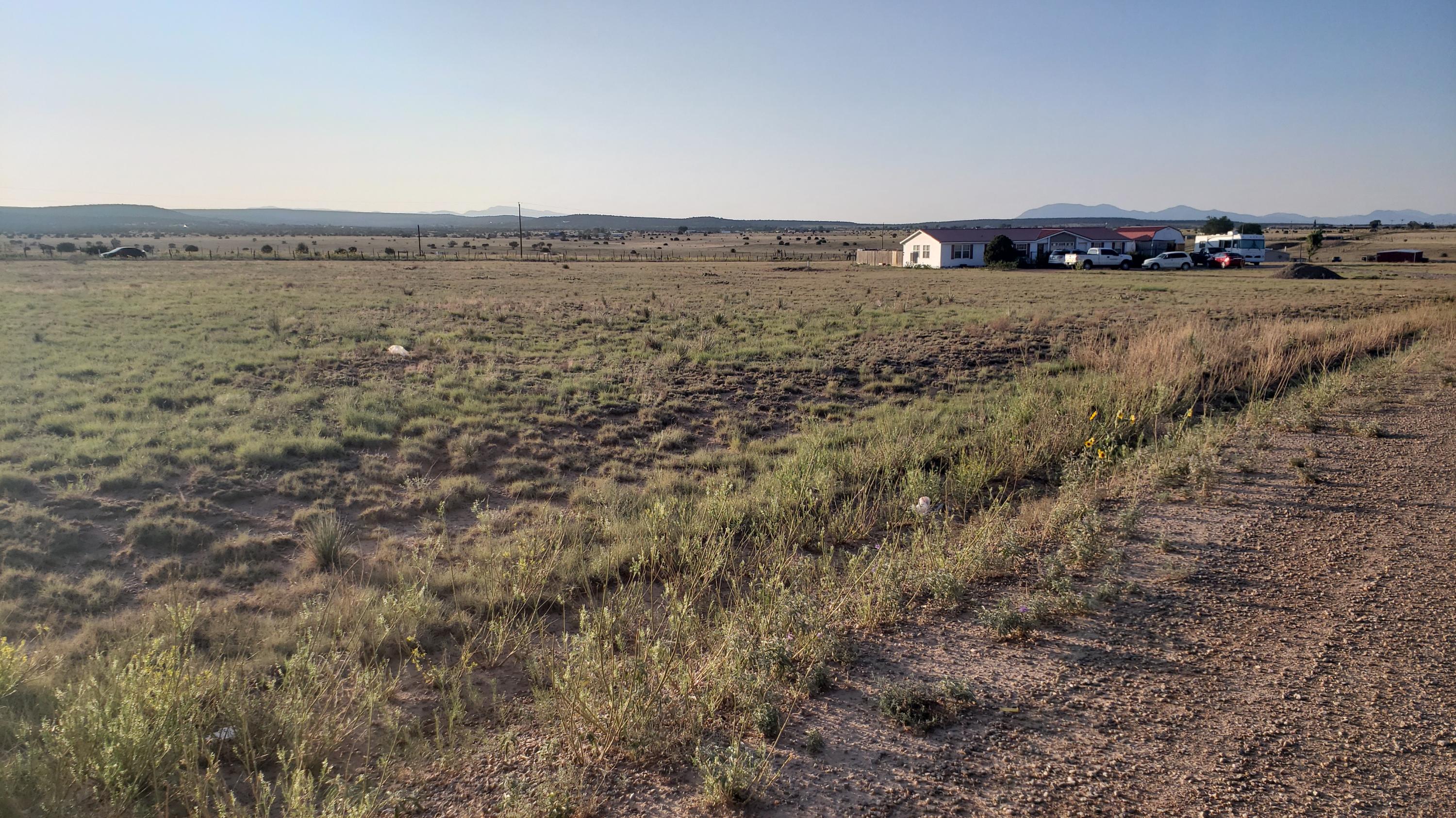 Coyote Loop