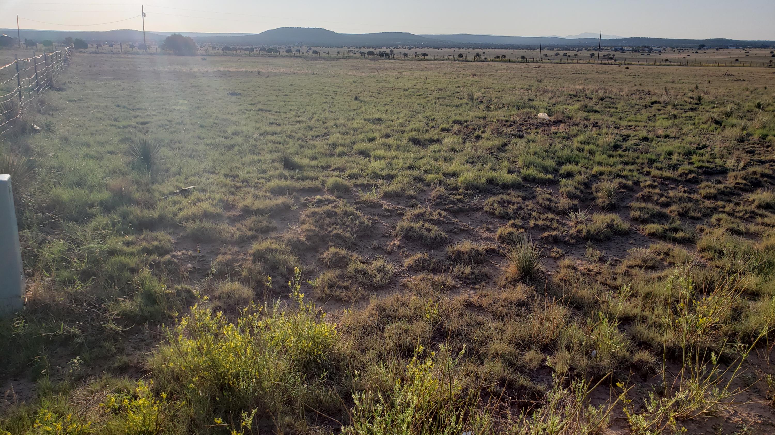 Coyote Loop