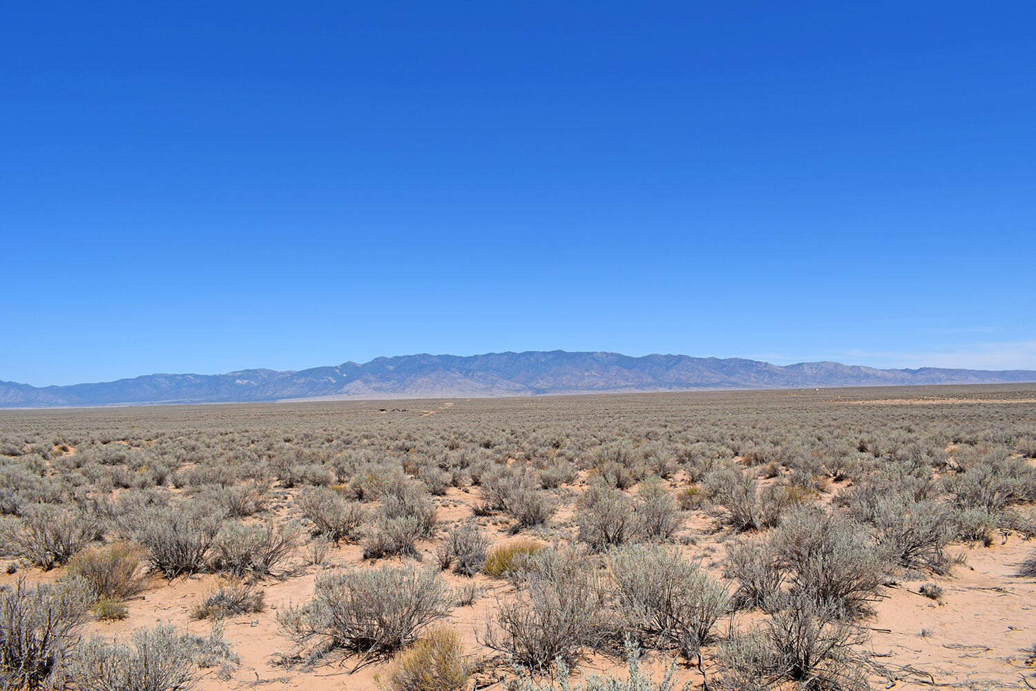 Lot 5 Rio Grande Estates U