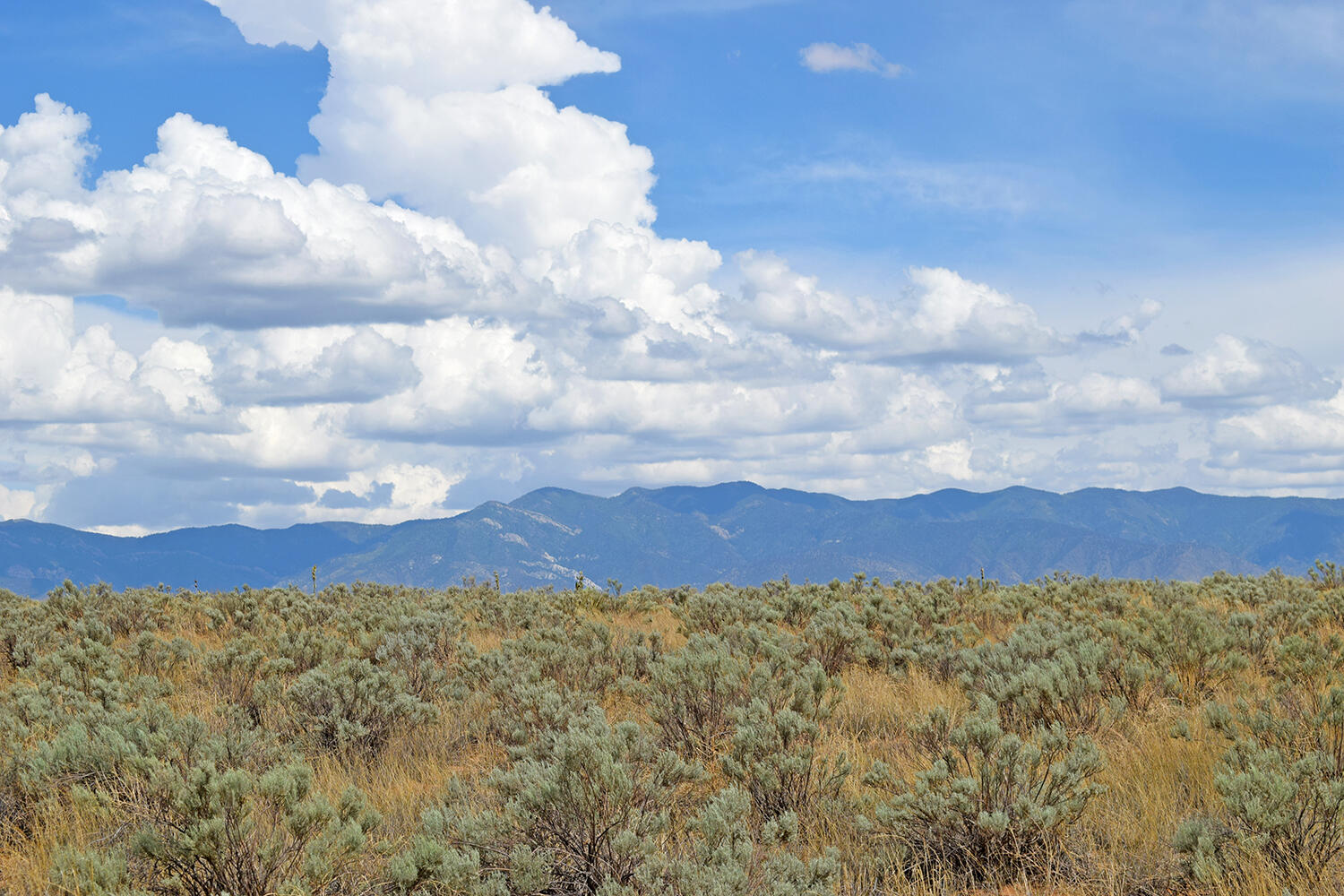 Lot 5 Rio Del Oro 7