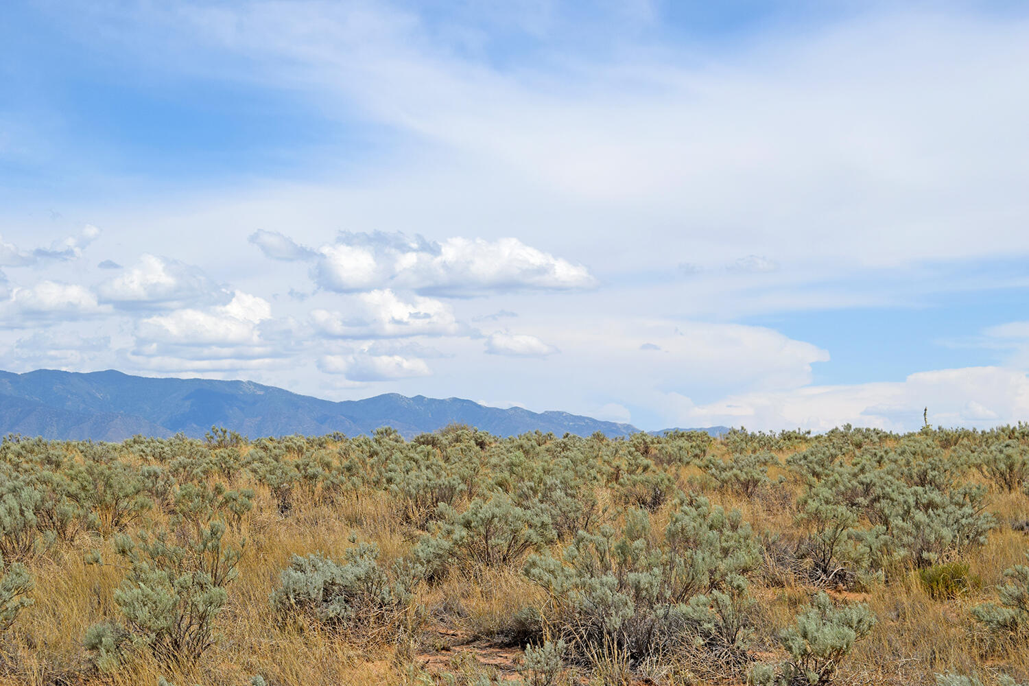 Lot 5 Rio Del Oro 7