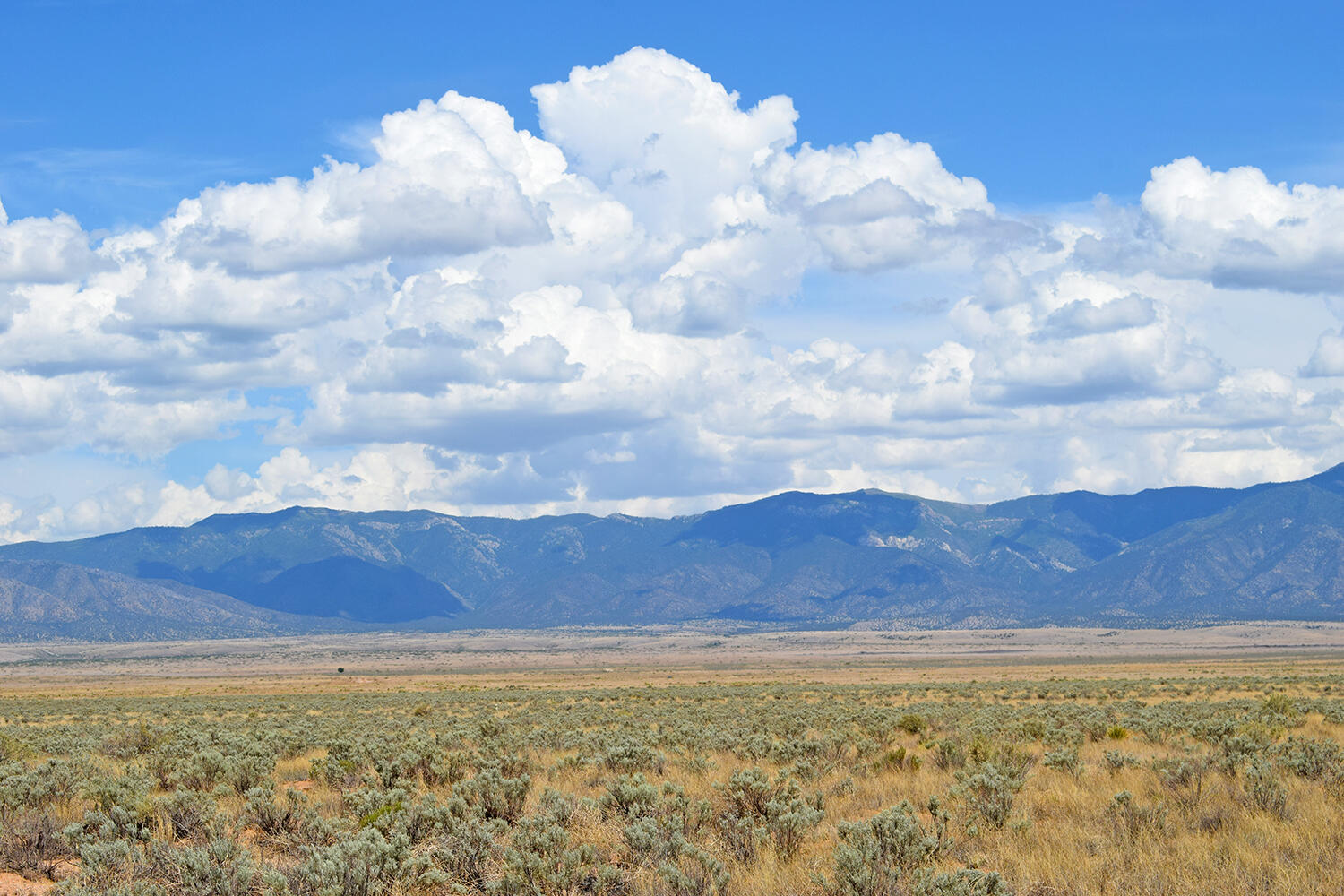 Lot 13 Rio Del Oro 7