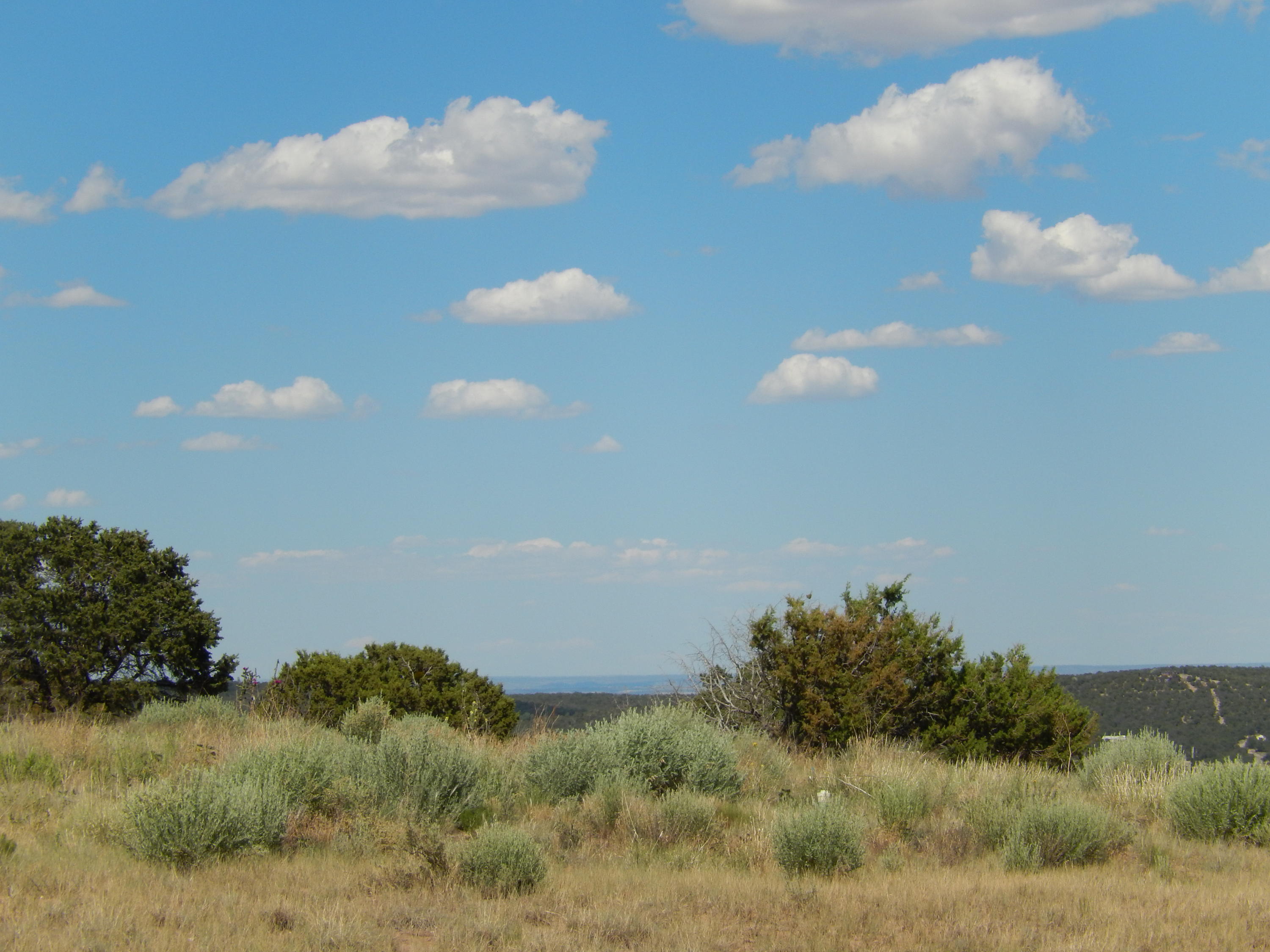 15 Meadowland Court