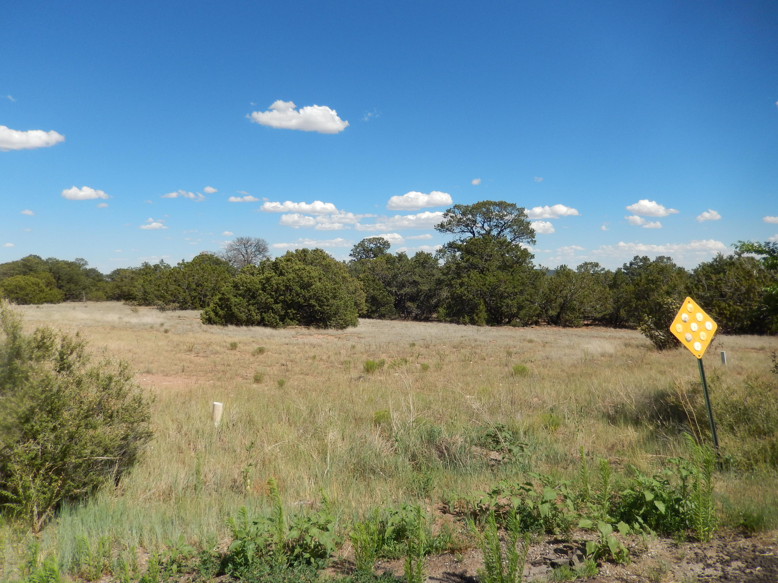 15 Meadowland Court