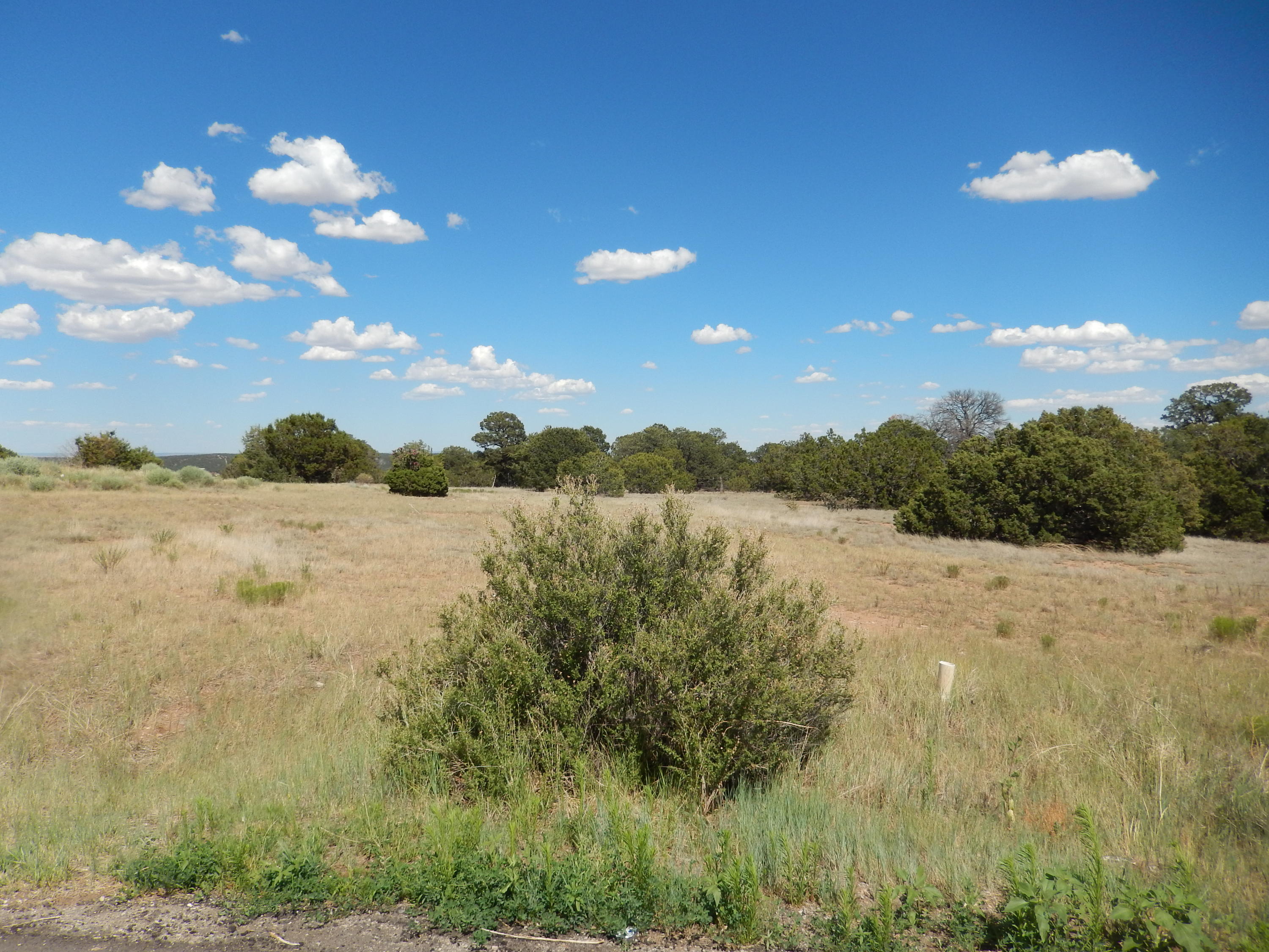 15 Meadowland Court