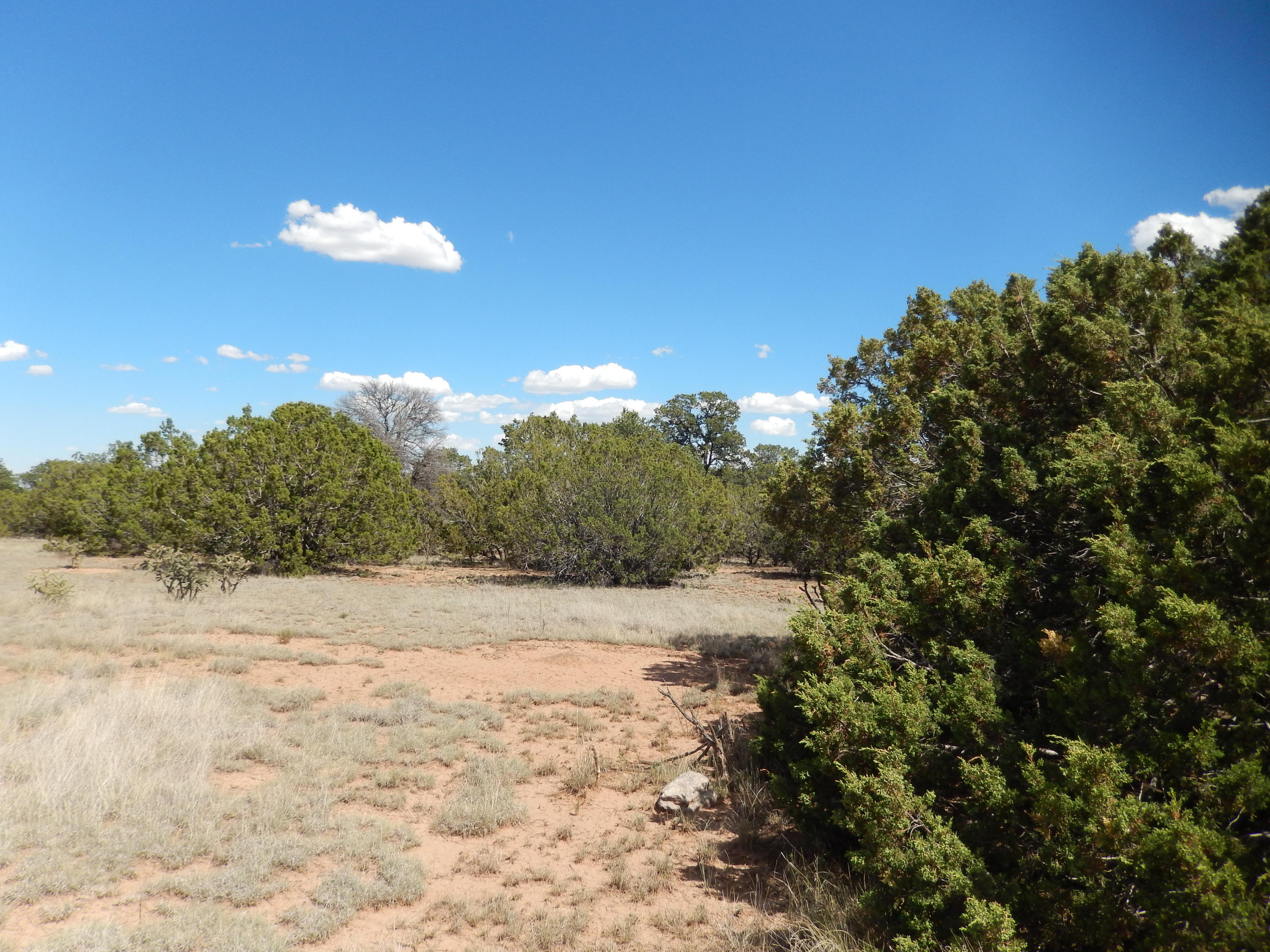 15 Meadowland Court