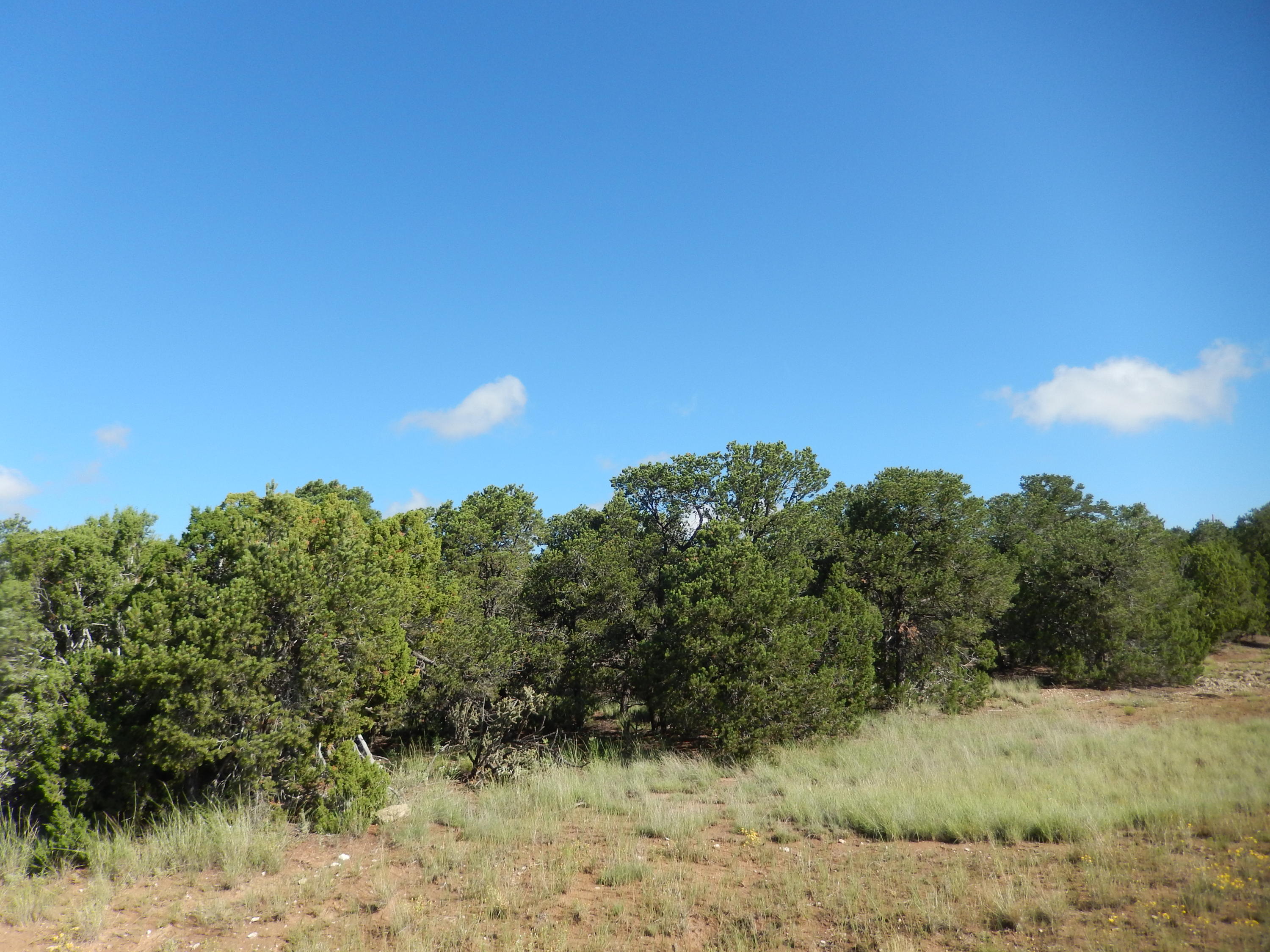 Sedillo Hill Place