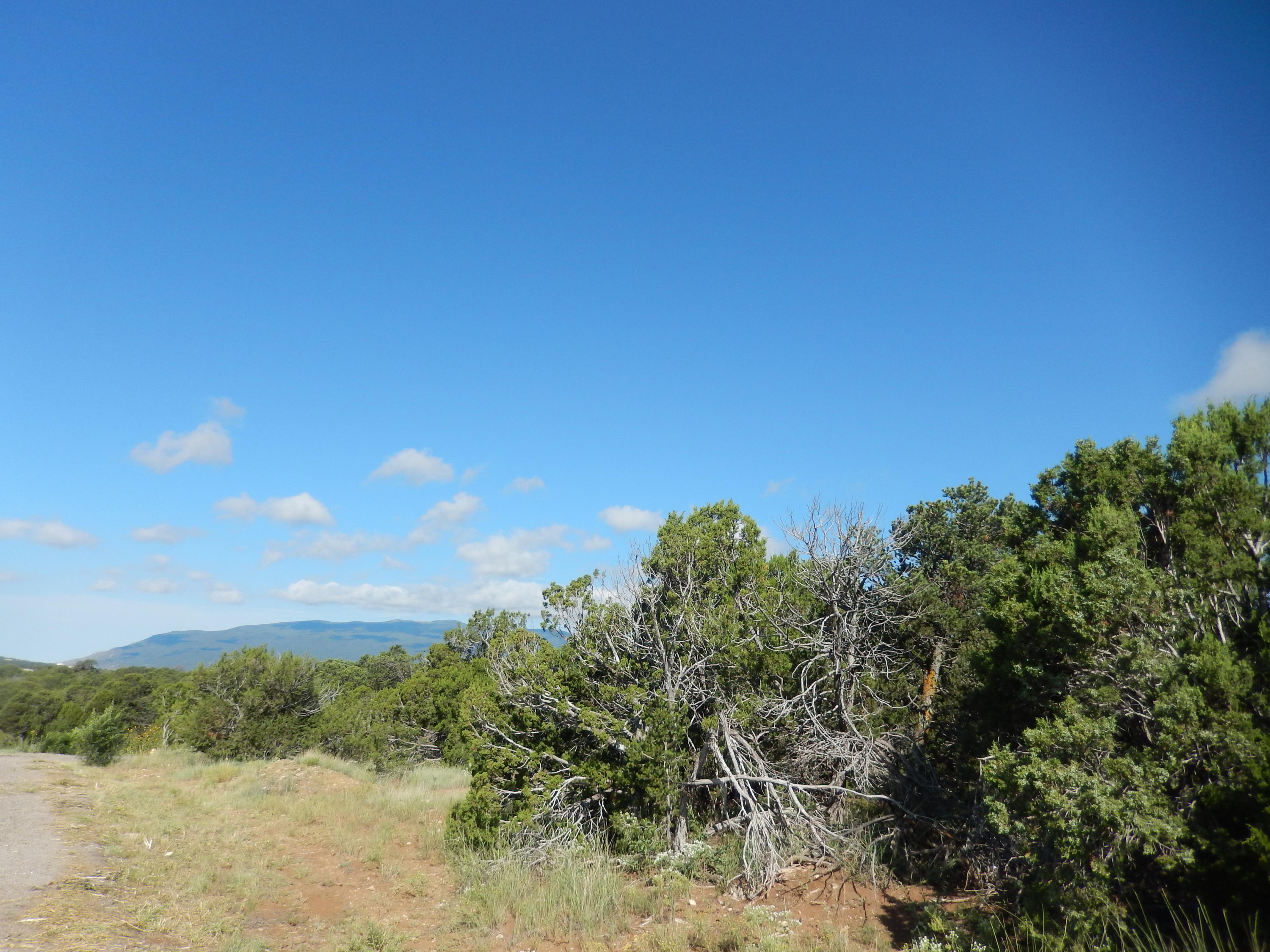 Sedillo Hill Place