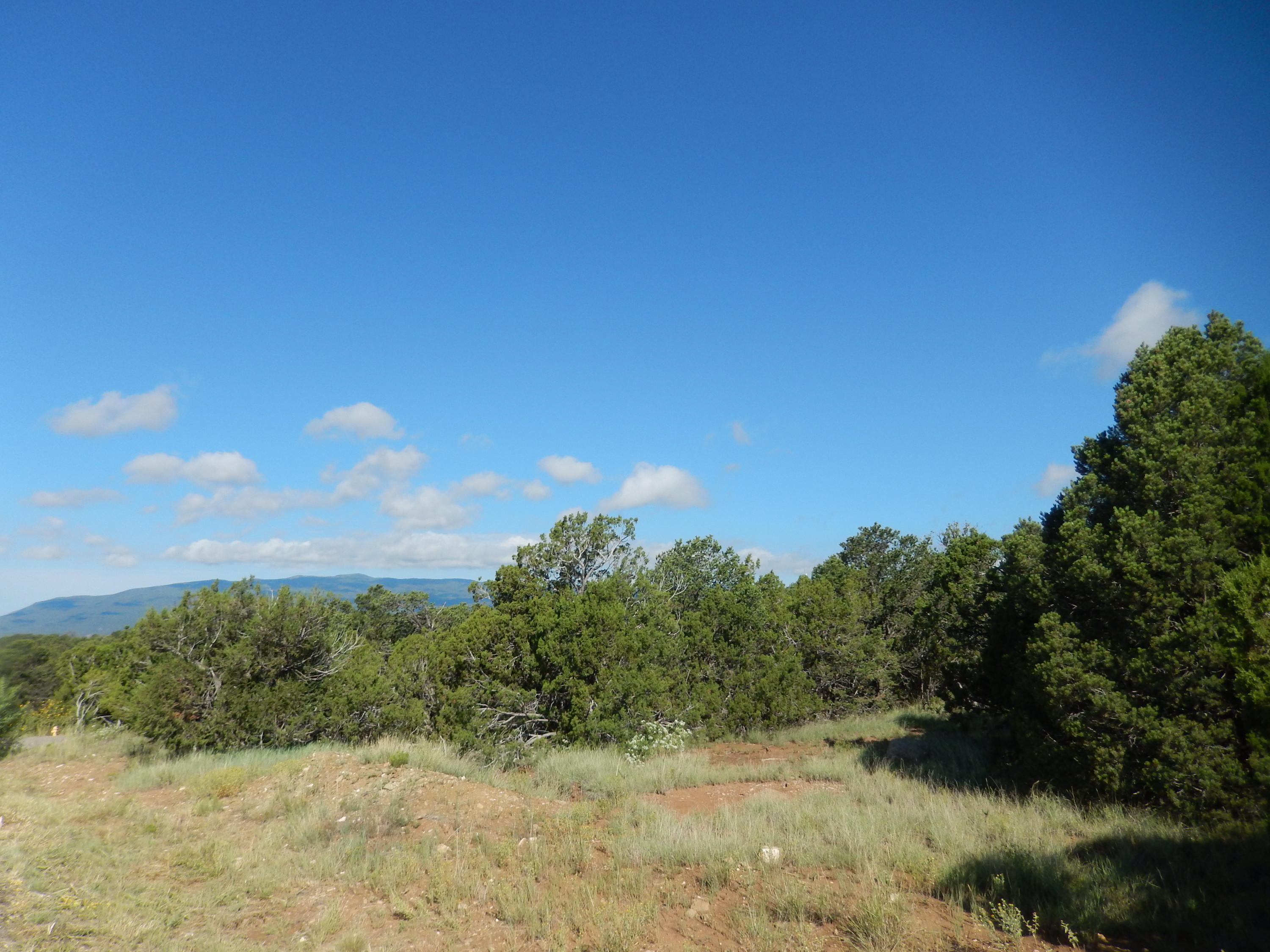 Sedillo Hill Place