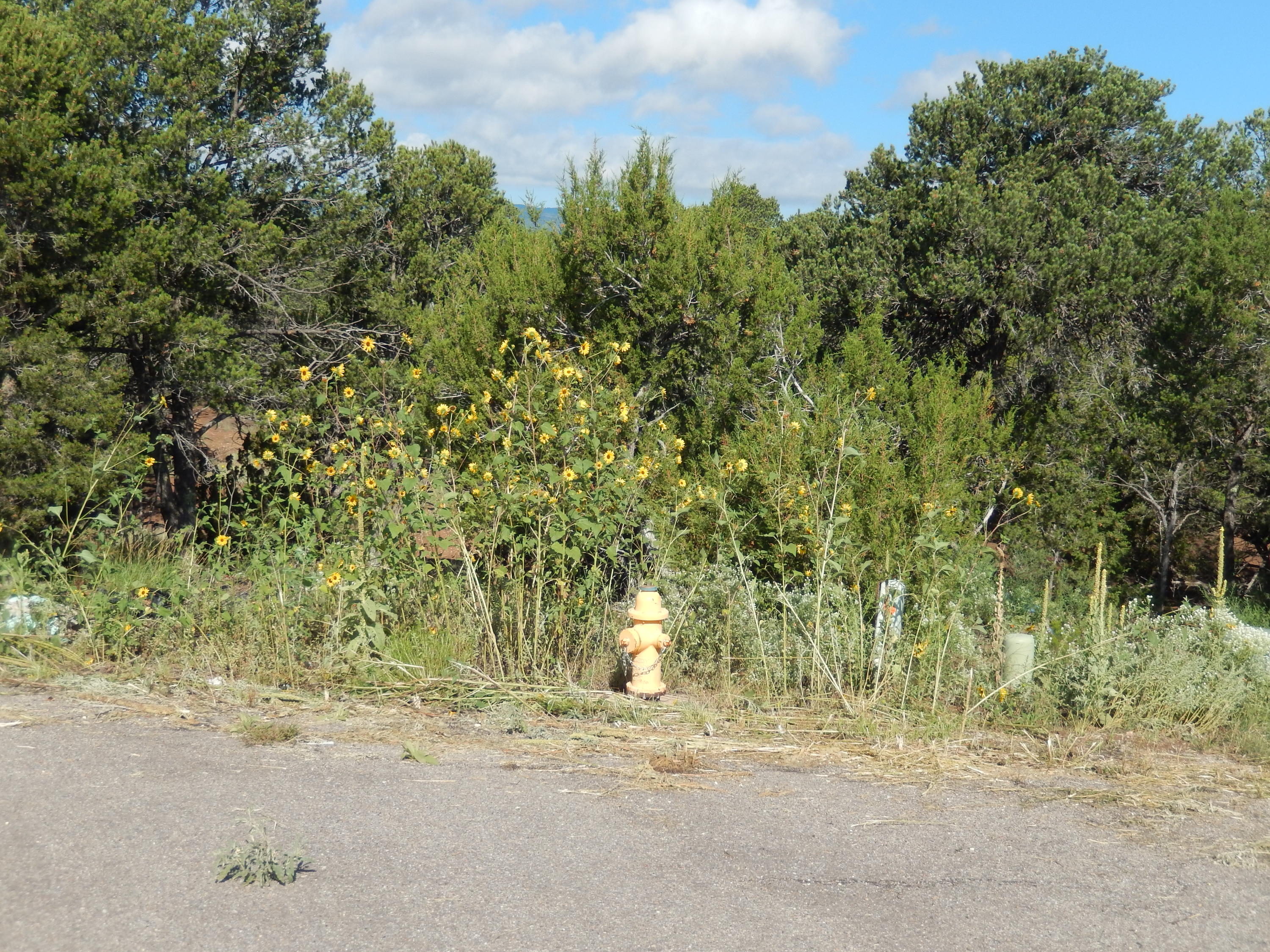 Sedillo Hill Place