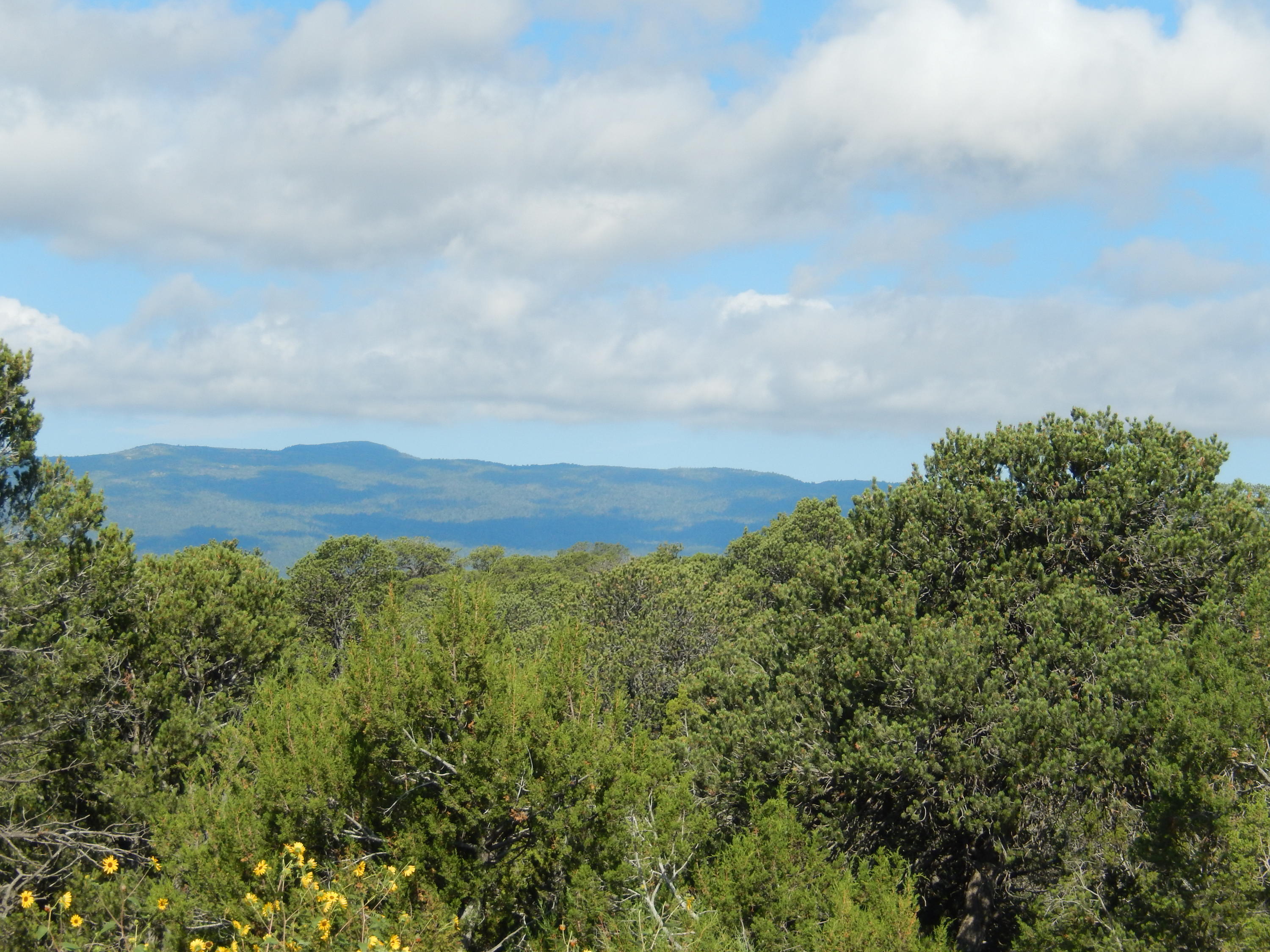 Sedillo Hill Place