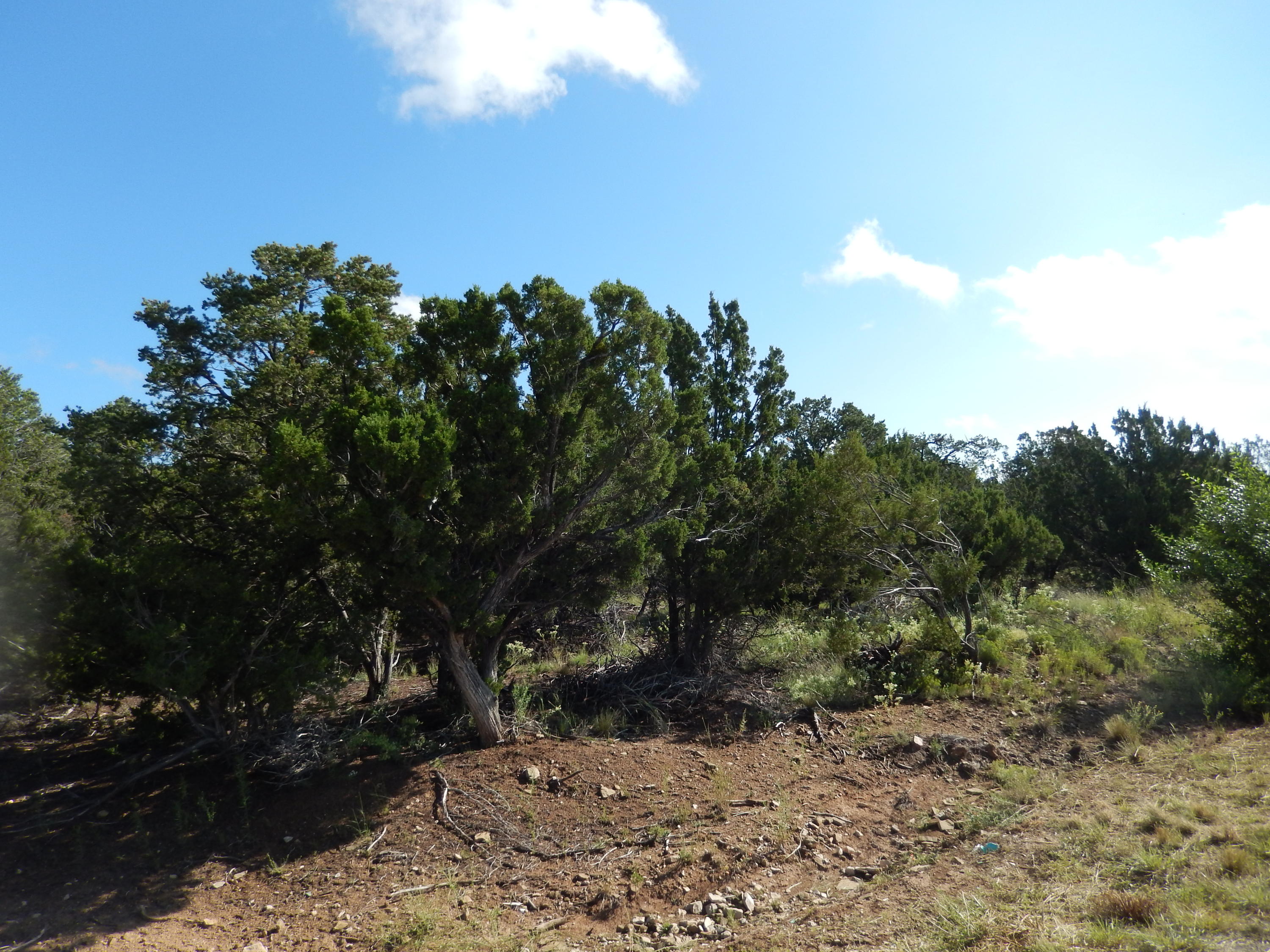 Sedillo Hill Place