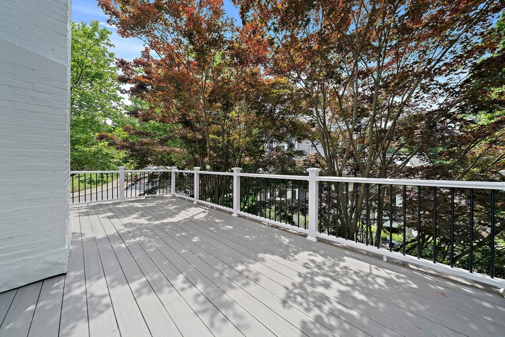 37 Wolcott St