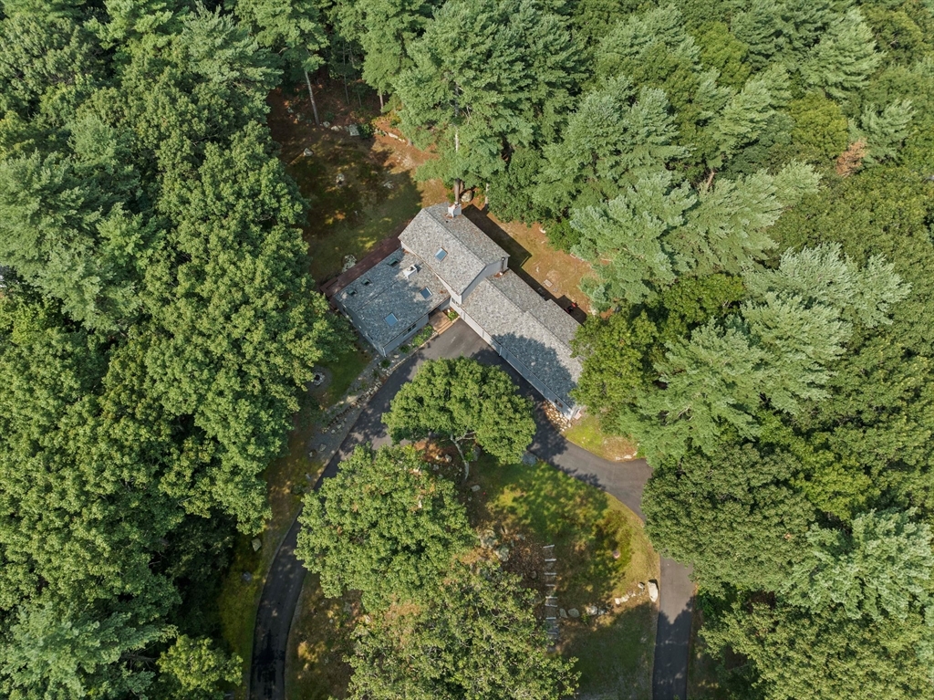 31 Dedham St