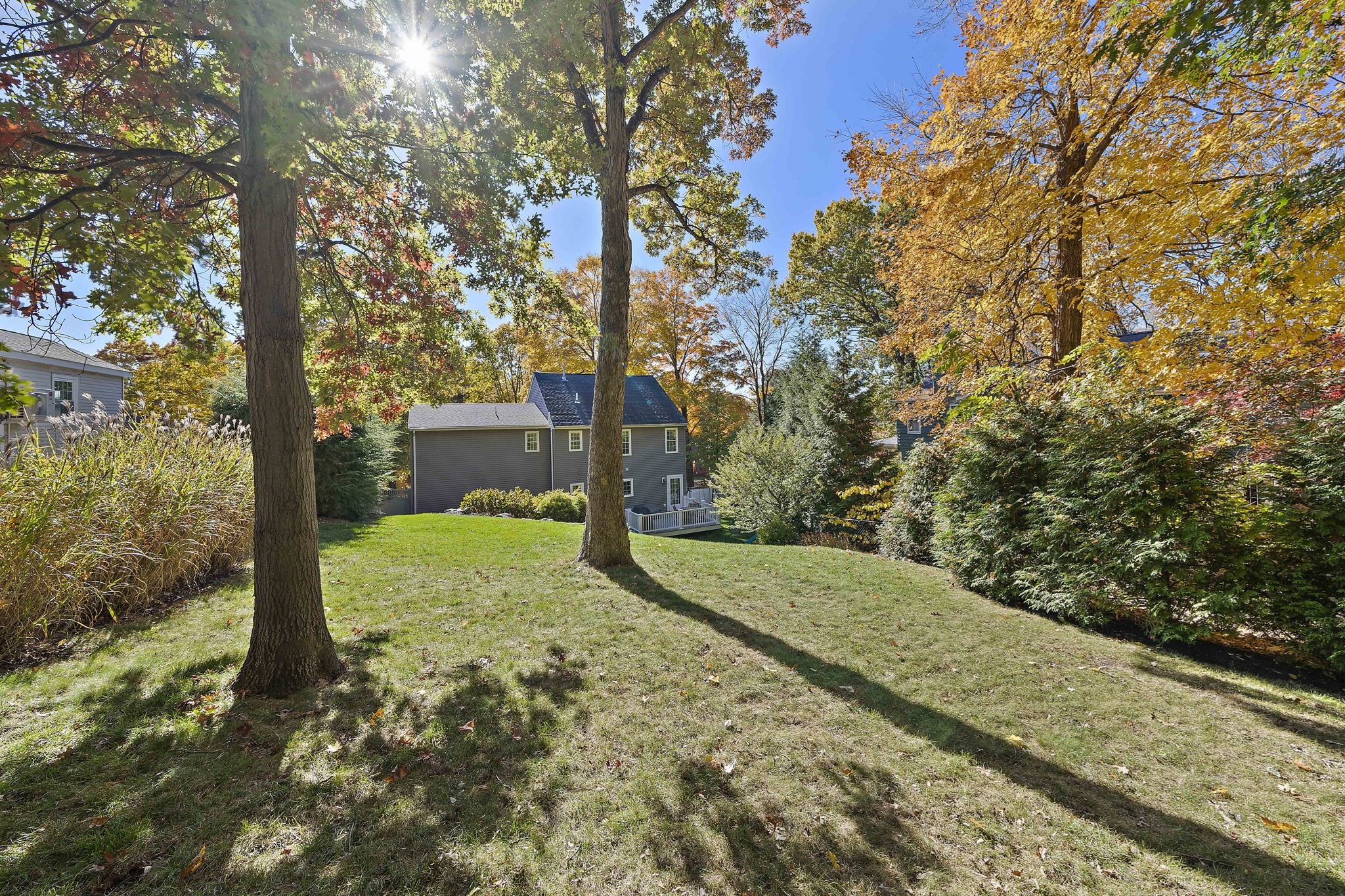 93 Sherman St