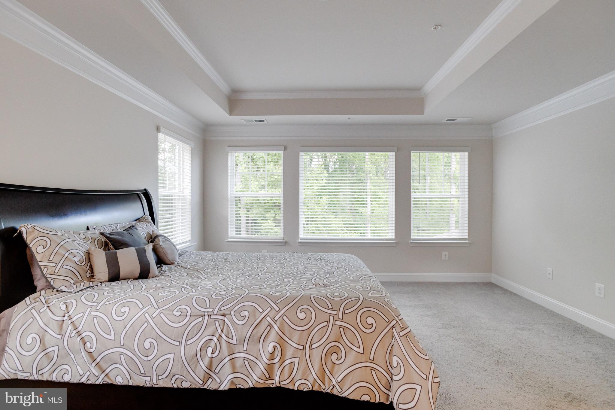 1138 FITZHUGH DRIVE