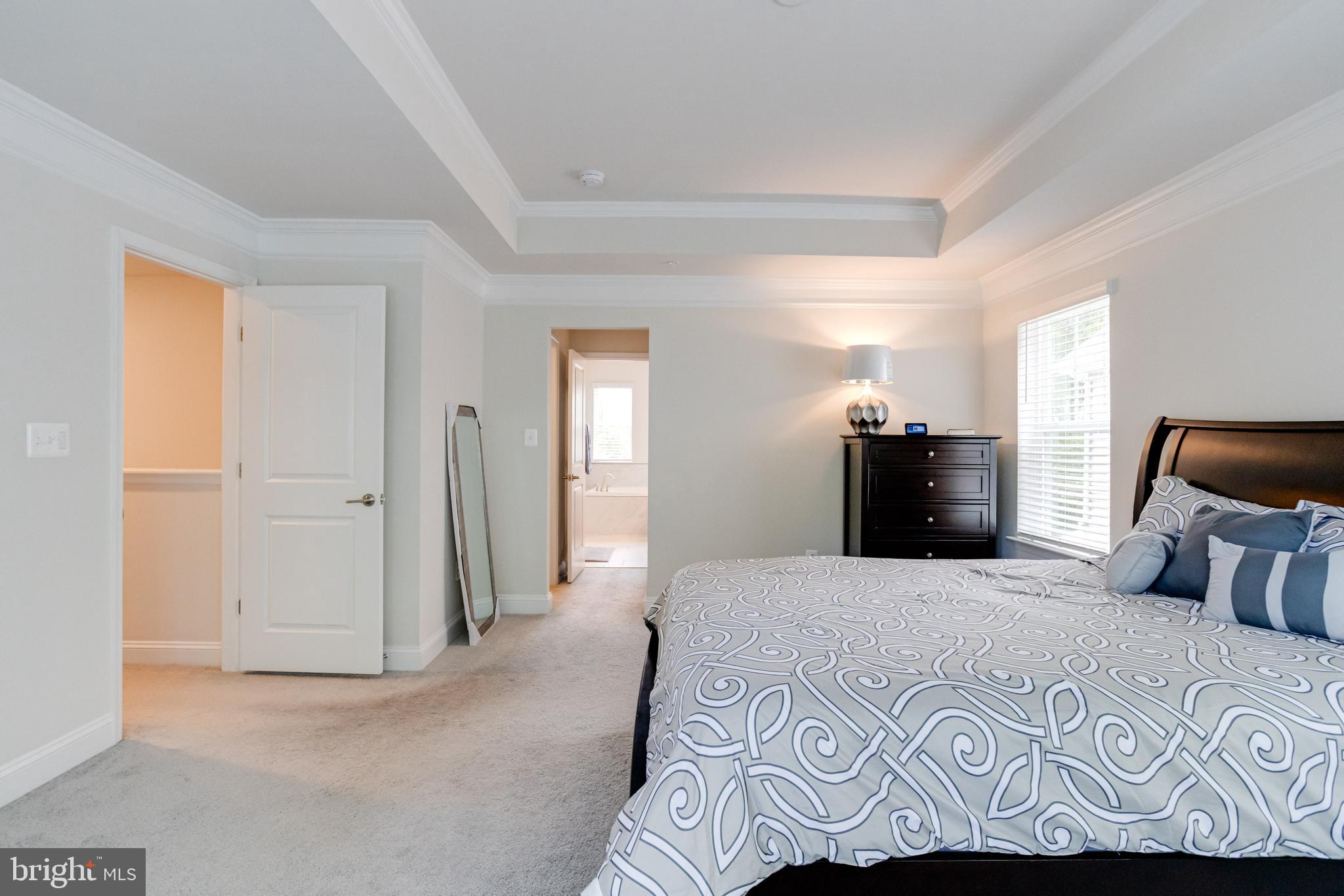 1138 FITZHUGH DRIVE