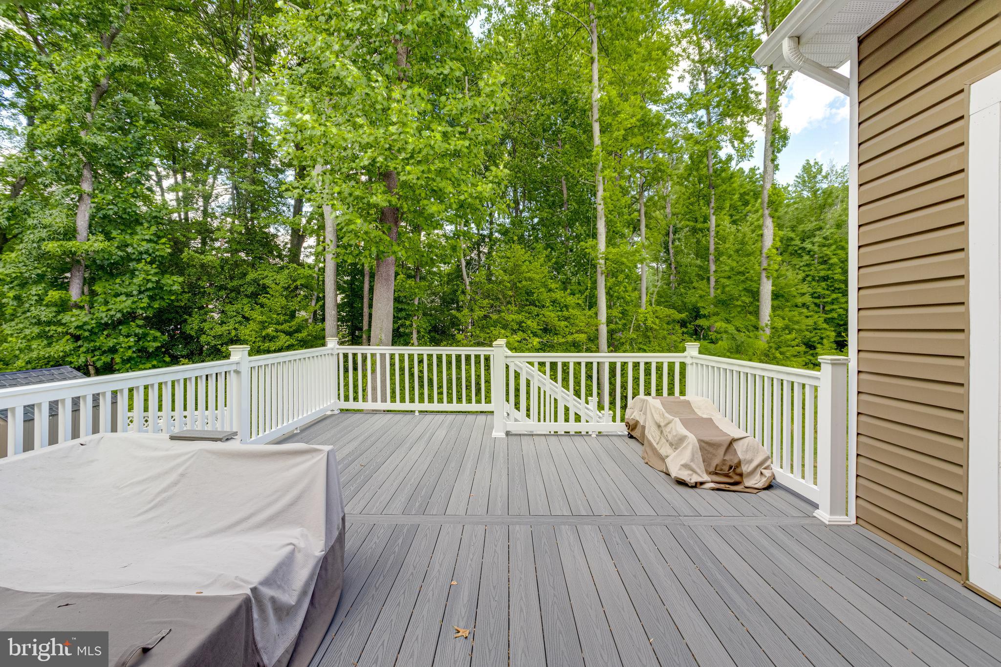 1138 FITZHUGH DRIVE