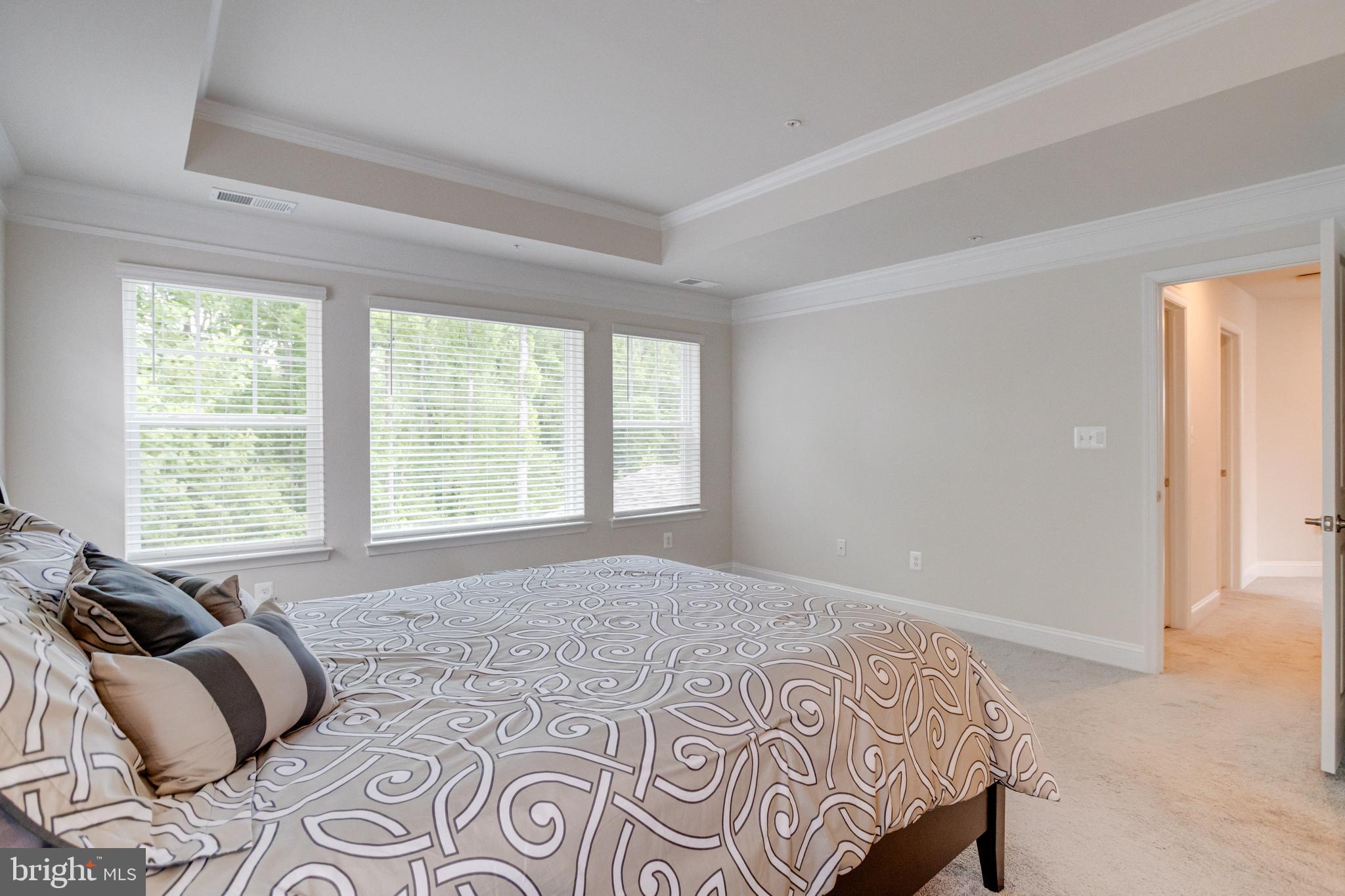 1138 FITZHUGH DRIVE