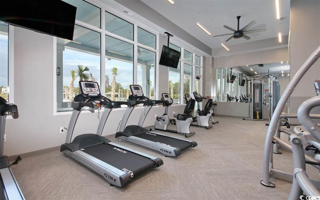 7269 Sarteano Dr.