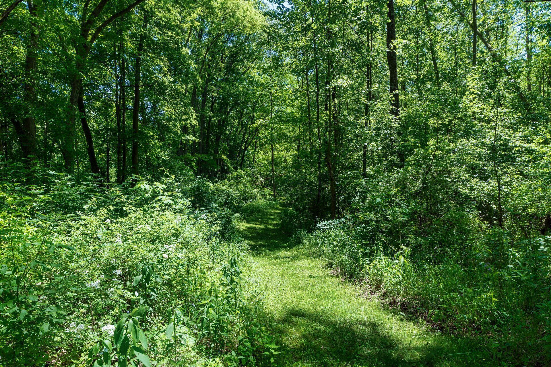 11444 Hazel Dell Road