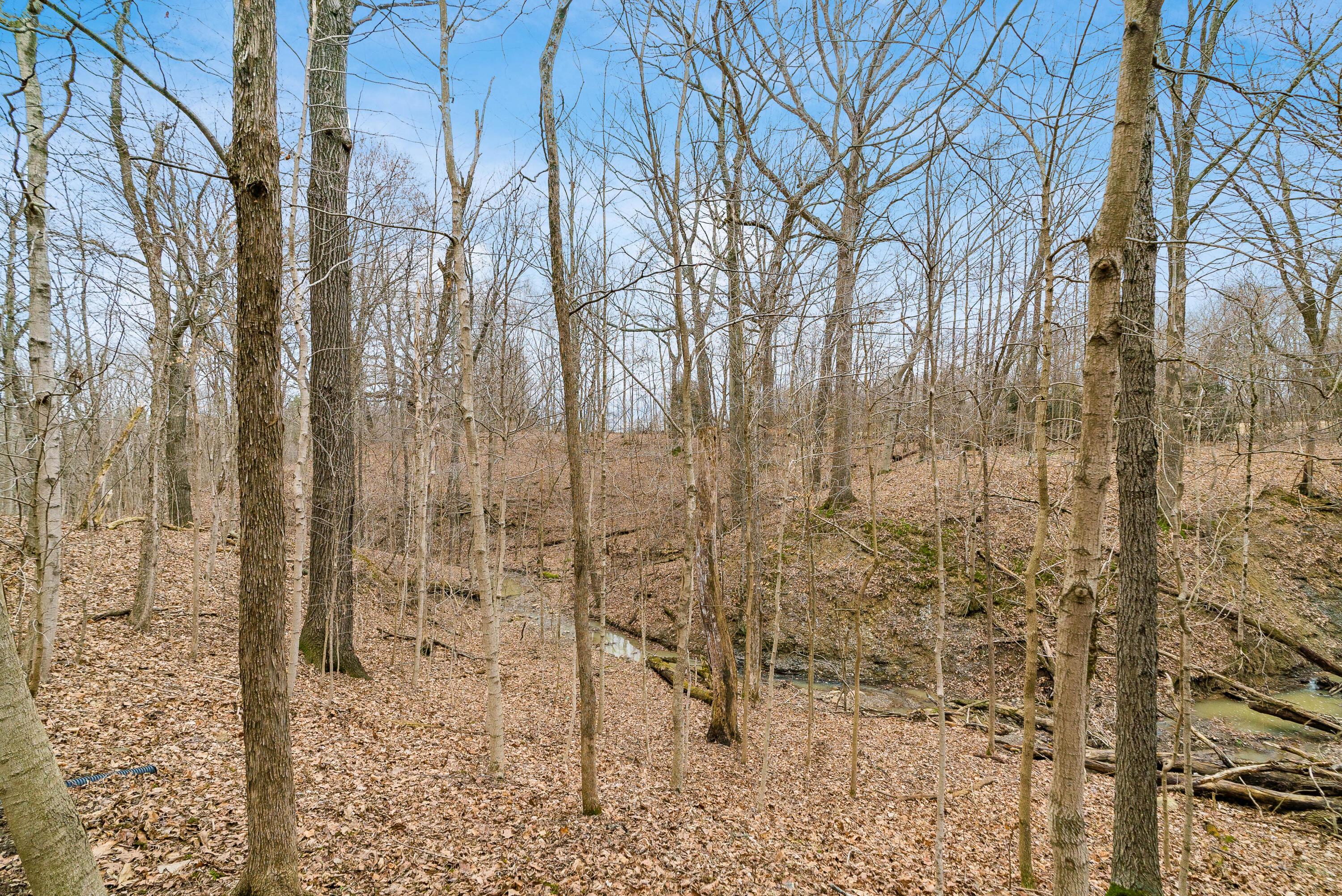 2994 County Road 225