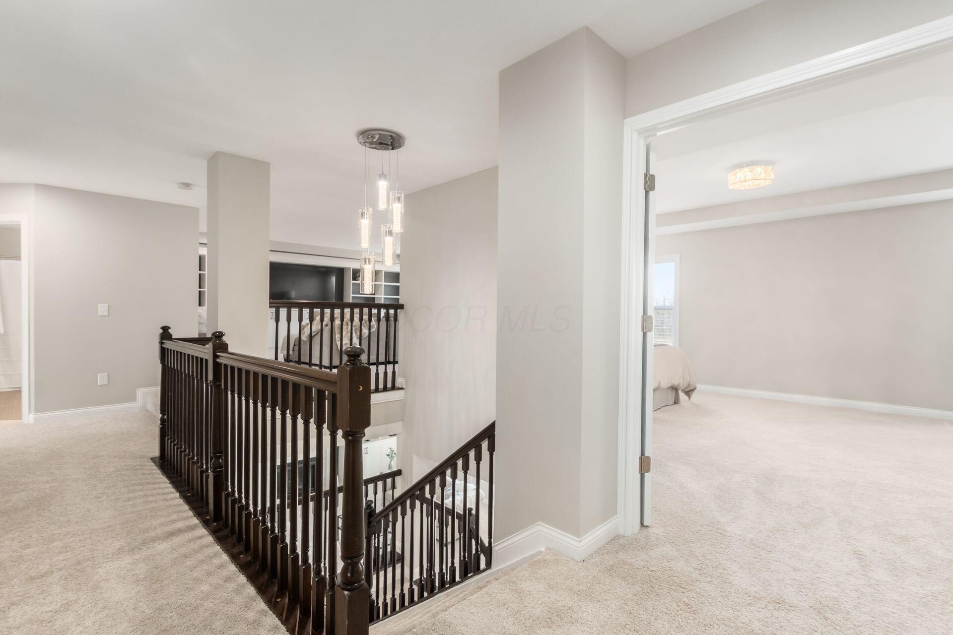239 Harness Way