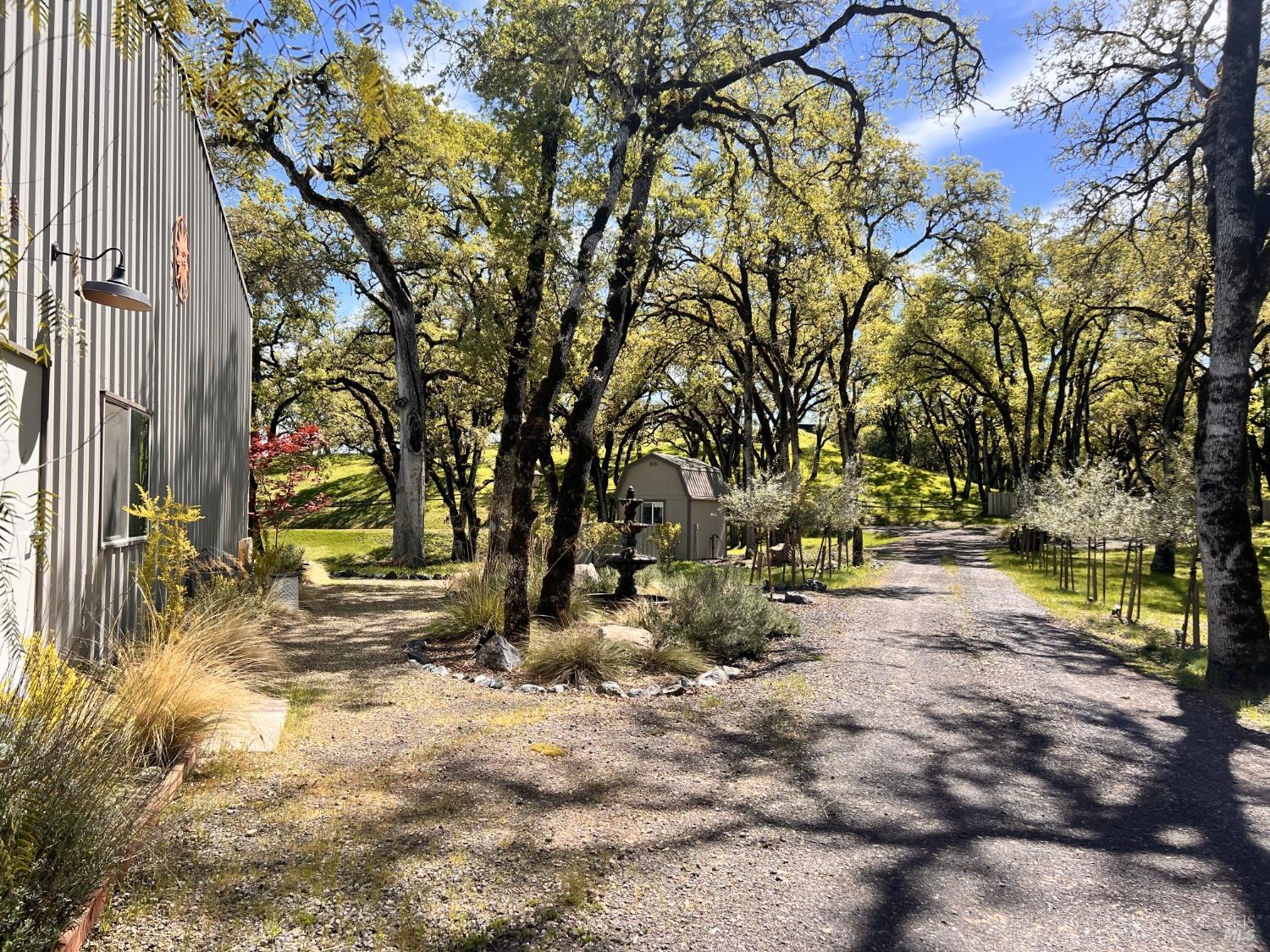 3215 Deerwood Dr