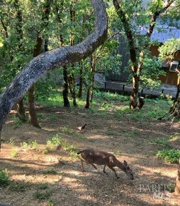 280 San Jacinta Dr #J