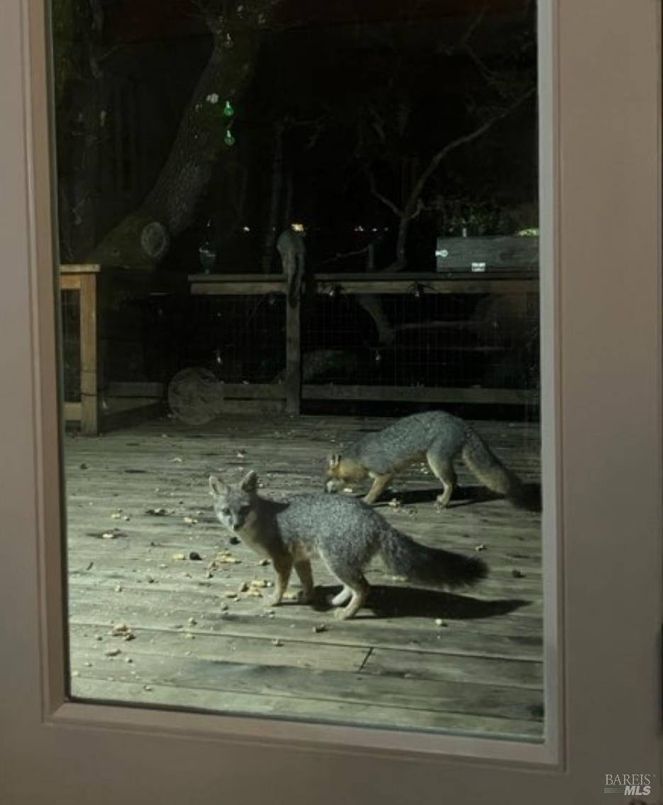 280 San Jacinta Dr #J