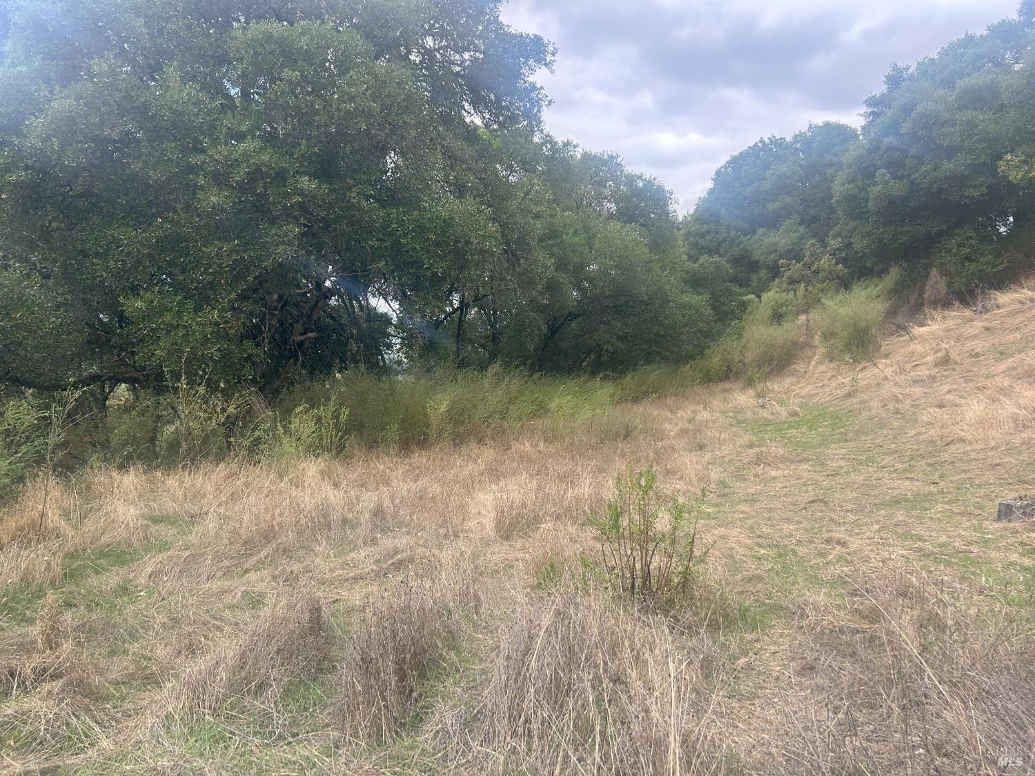 1320 Sanford Ranch Rd