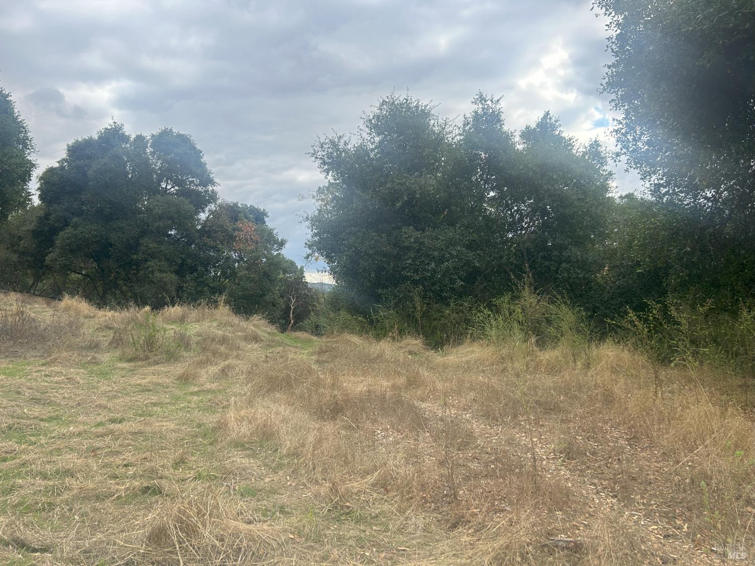 1320 Sanford Ranch Rd