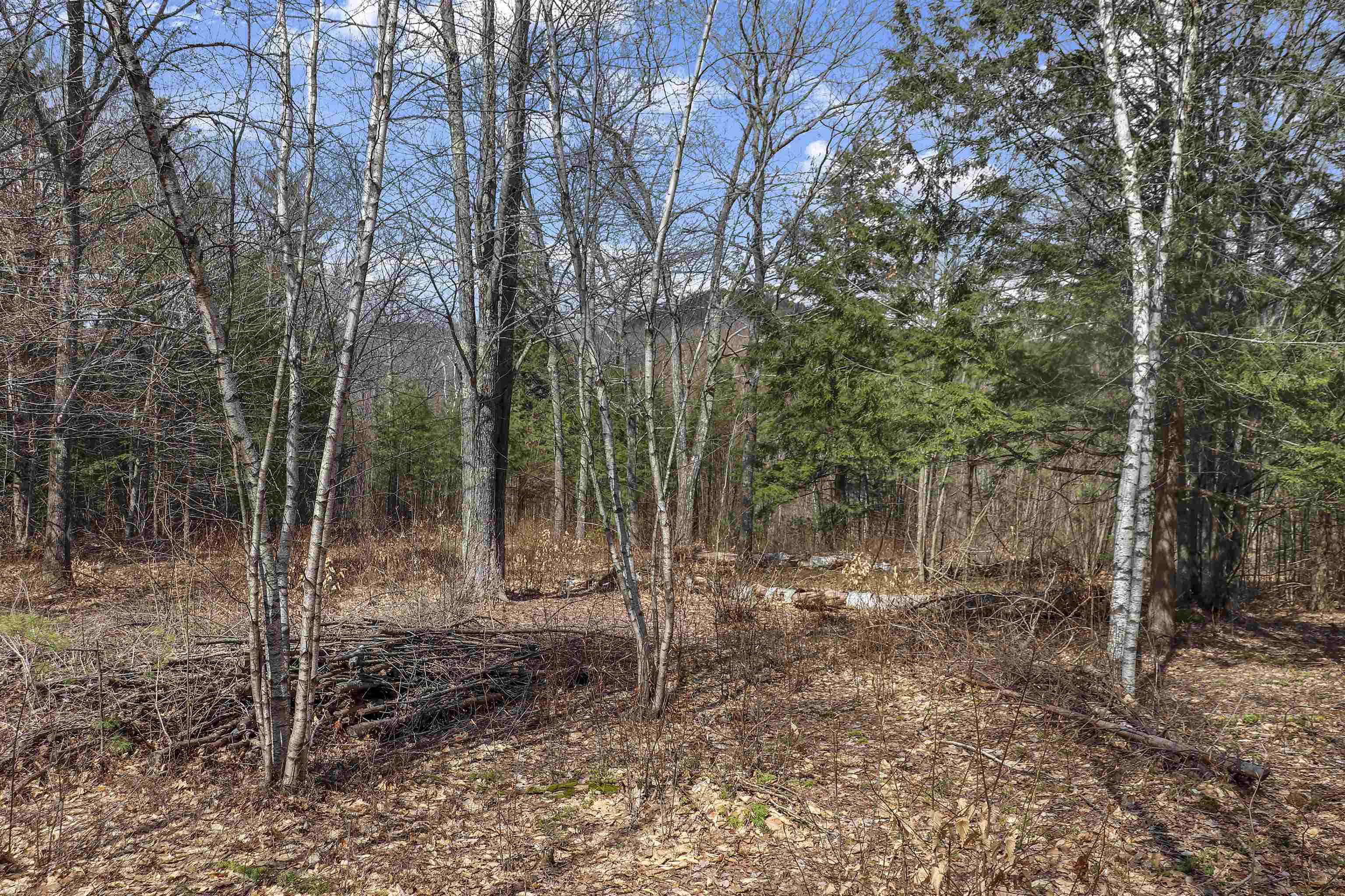 Lot 59 Deacon Willey Road