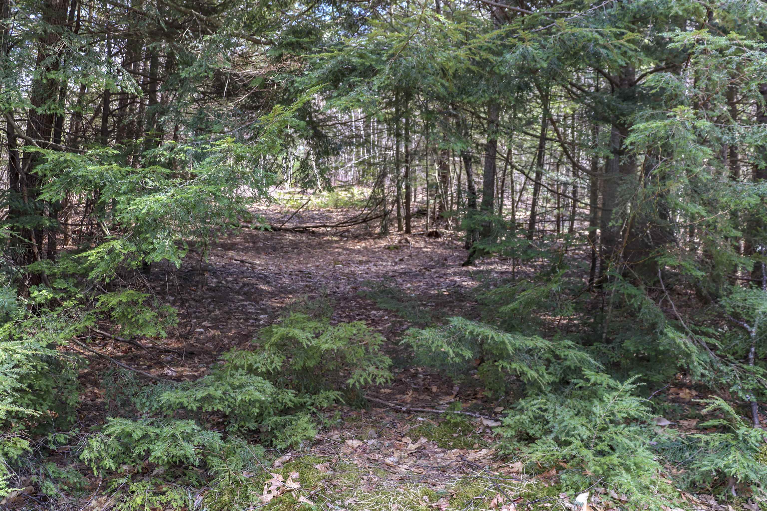 Lot 59 Deacon Willey Road