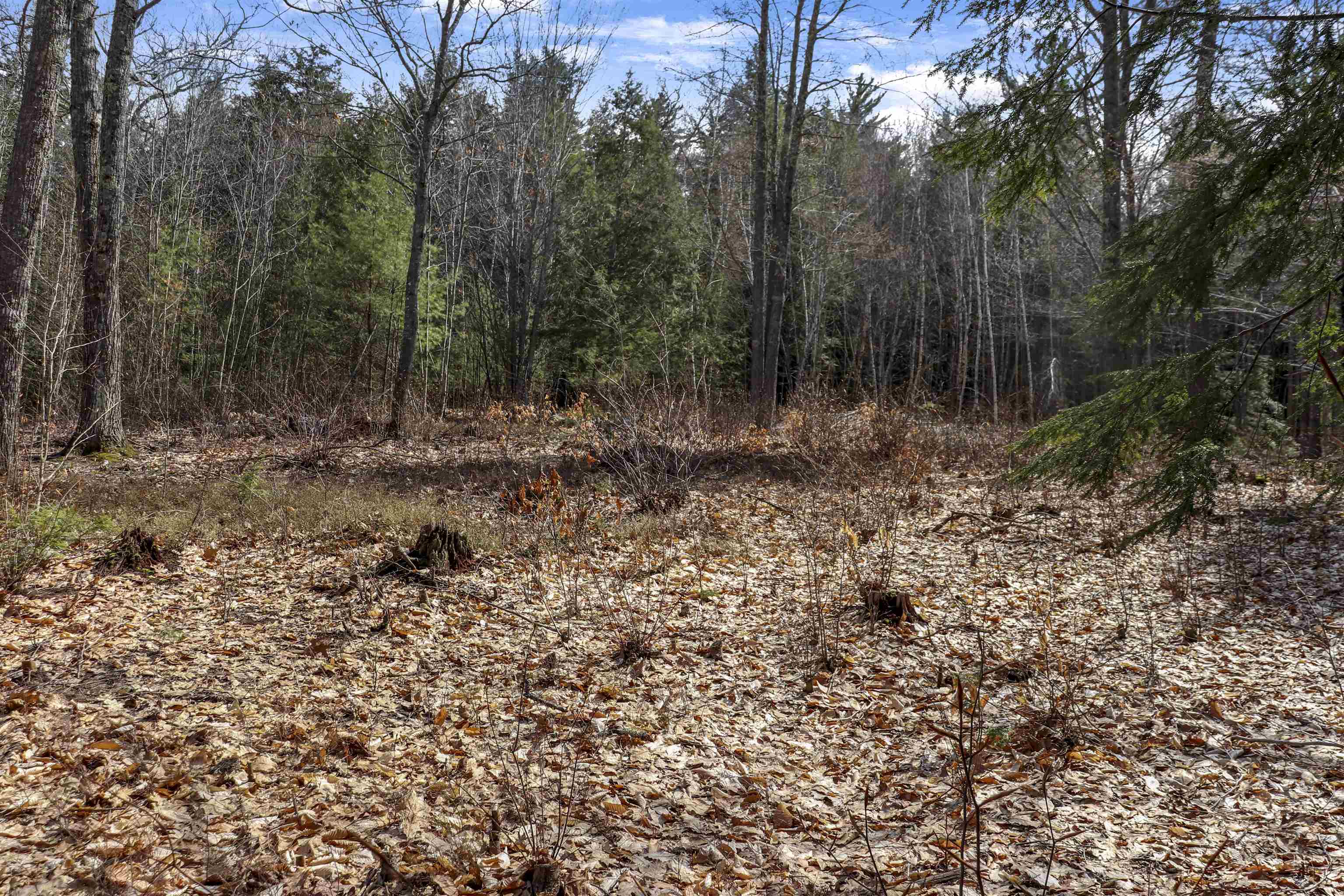 Lot 59 Deacon Willey Road