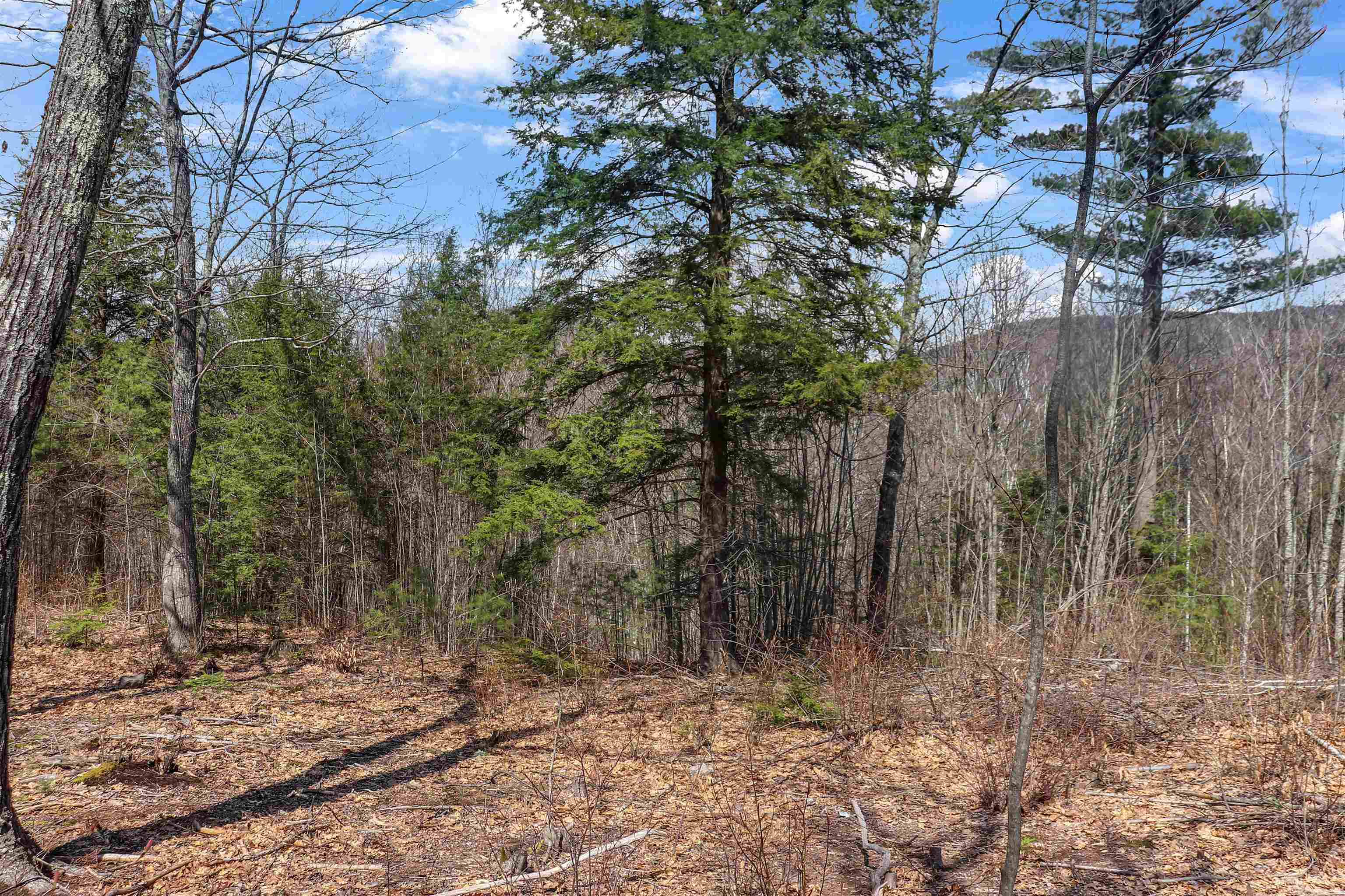 Lot 59 Deacon Willey Road