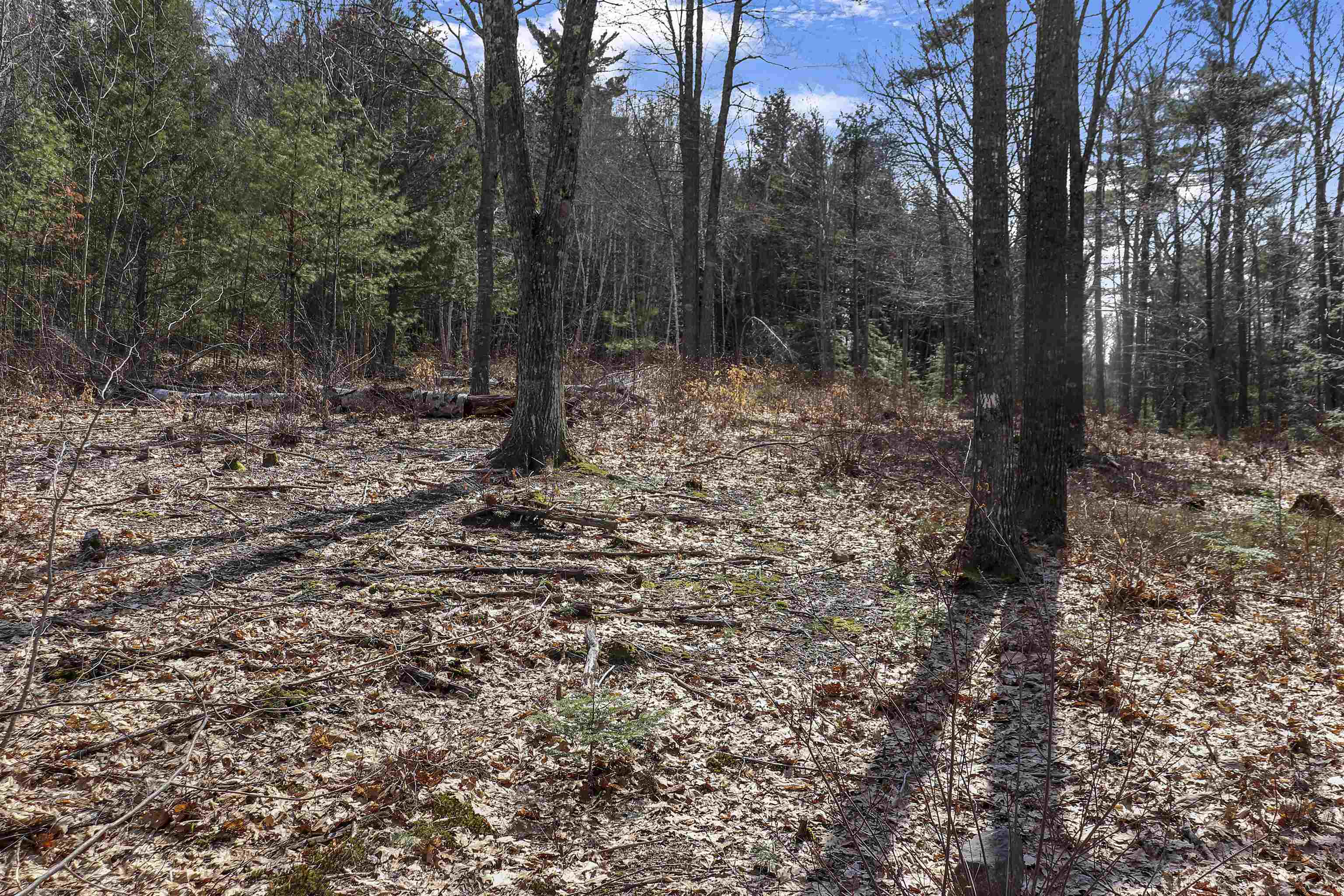 Lot 59 Deacon Willey Road